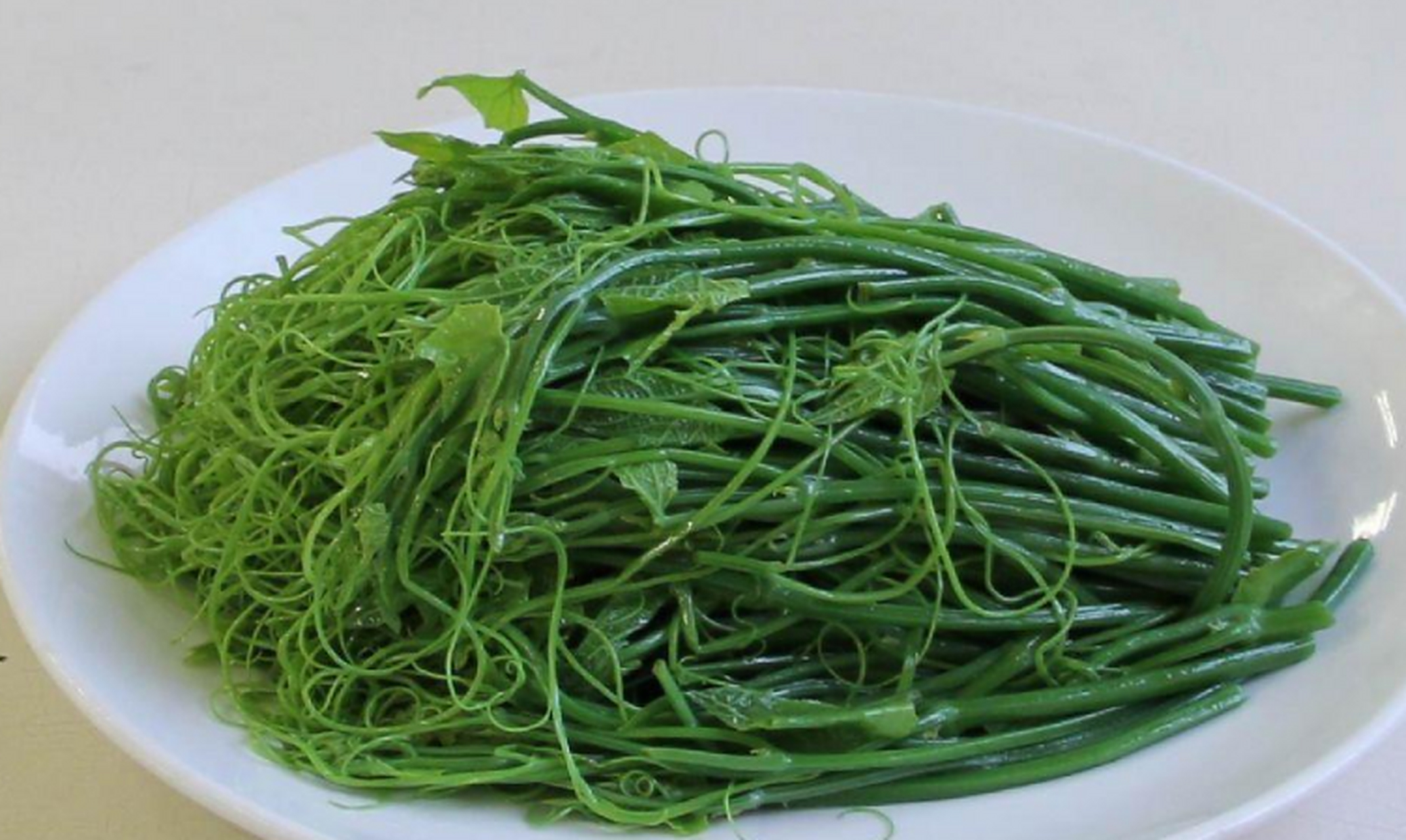 龙须菜又叫石发,是一种野生名菜,它的别名还有柳丝,龙须草,菊花菜