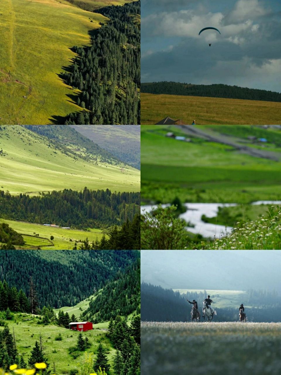 成都周边游|川西阿勒泰·玉科草原	 "91玉科草原位于四川甘孜州道孚