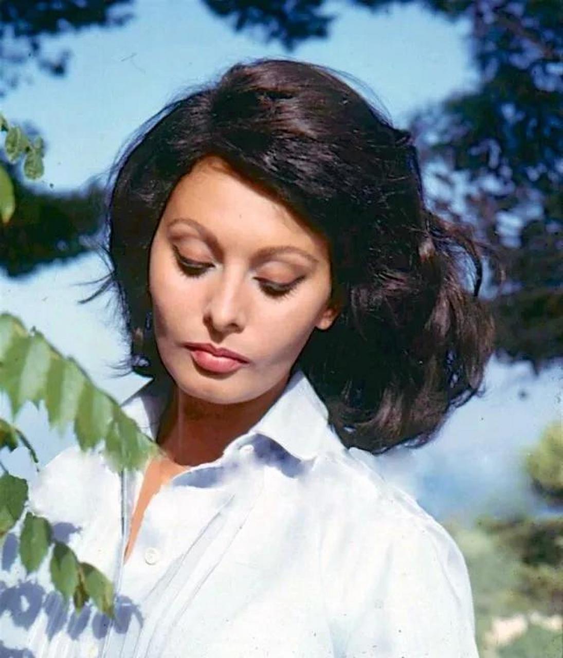 gif创作人# 性感女神索菲亚罗兰神秘又漂亮的女人.