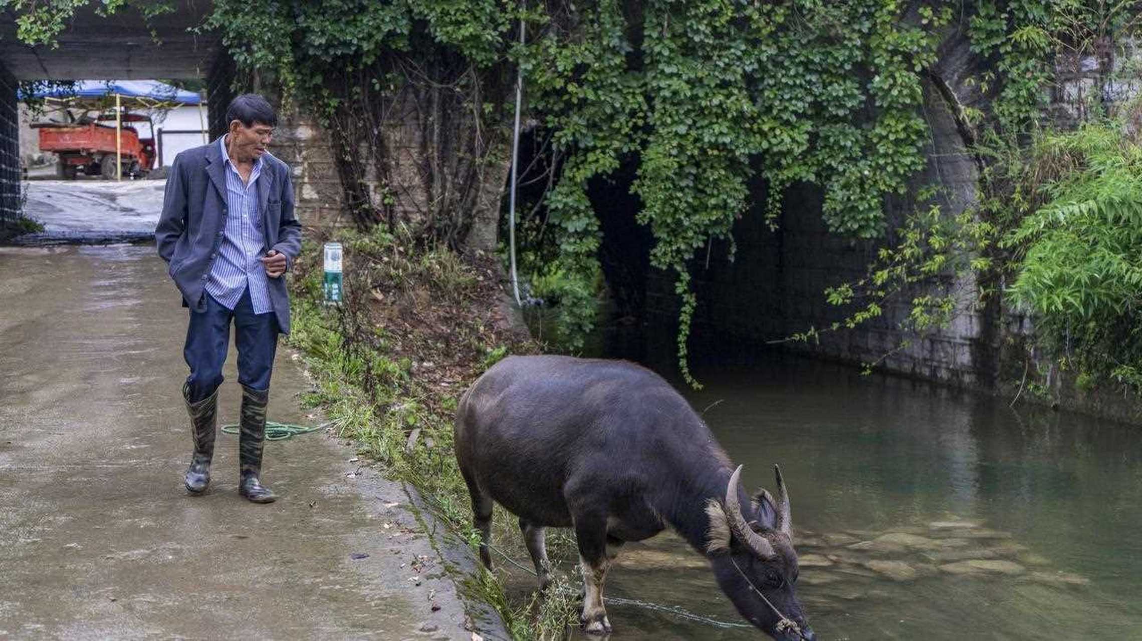 贵阳王岗村图片