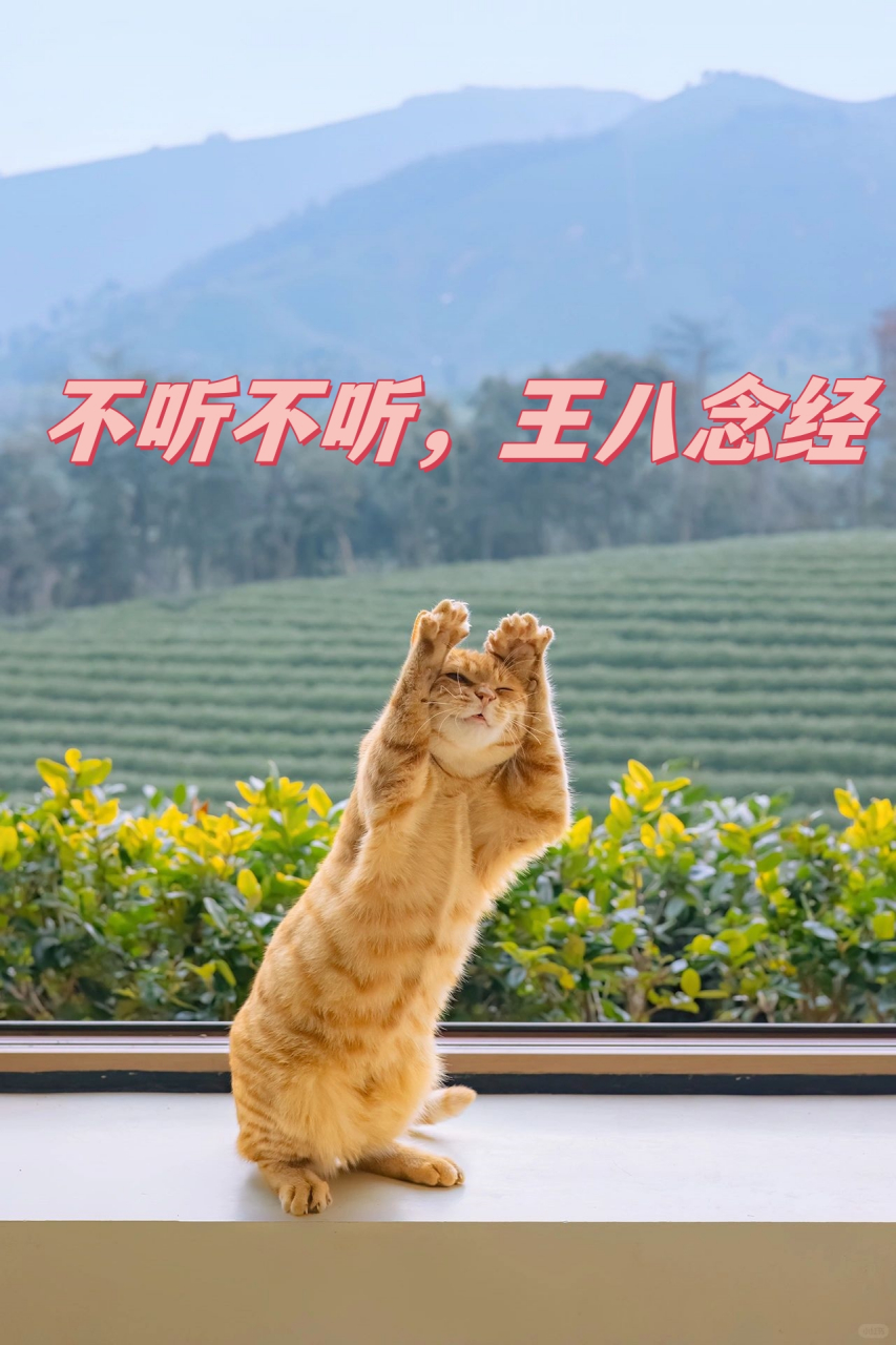 不听不听,王八念经