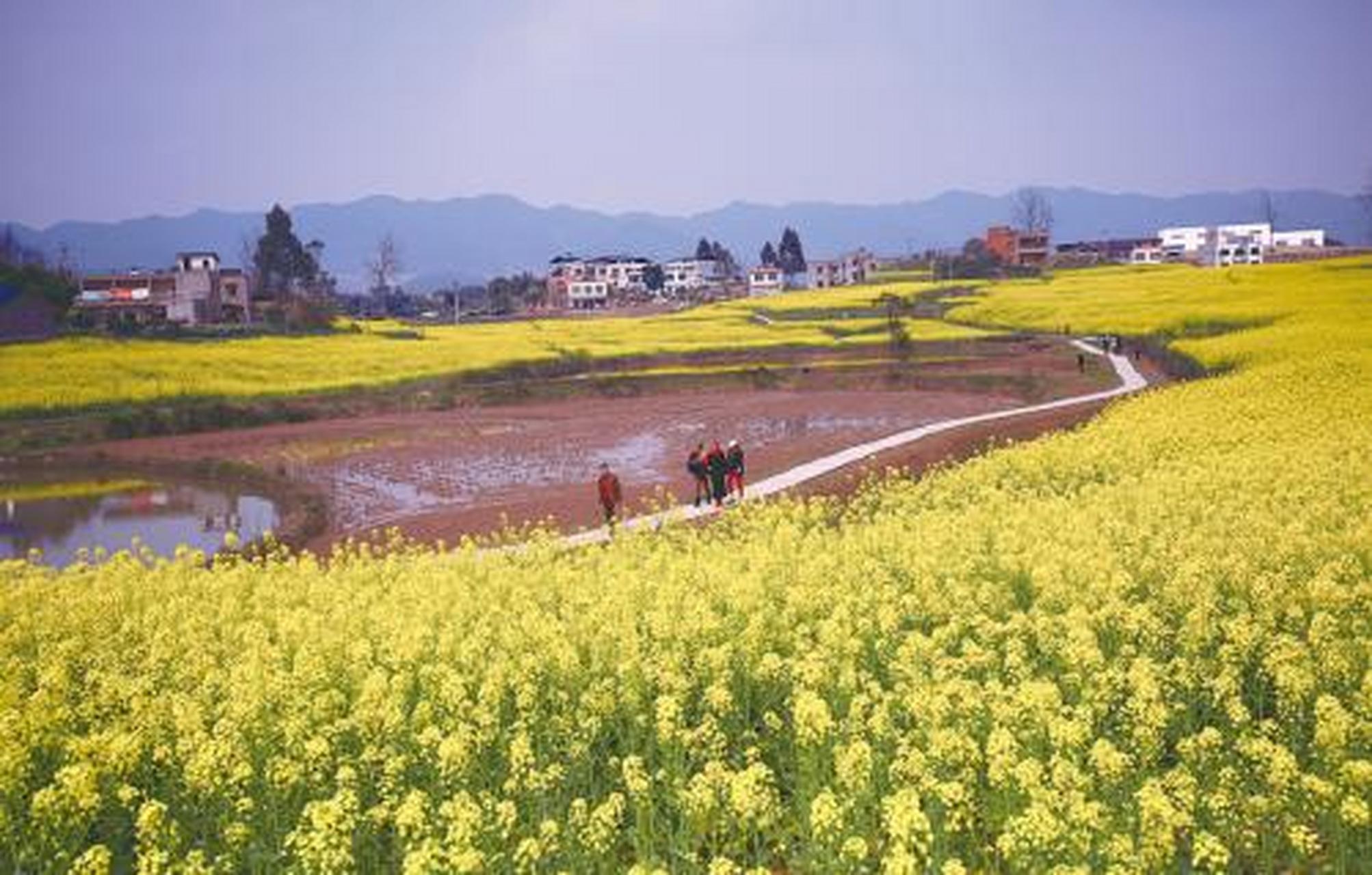 永川青峰镇公园图片