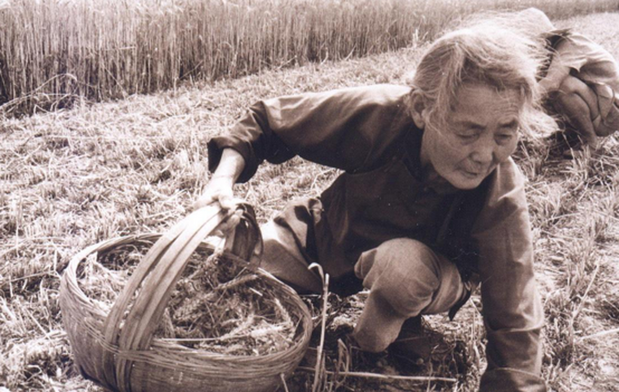 80年代,莫言和年迈的母亲的合影.