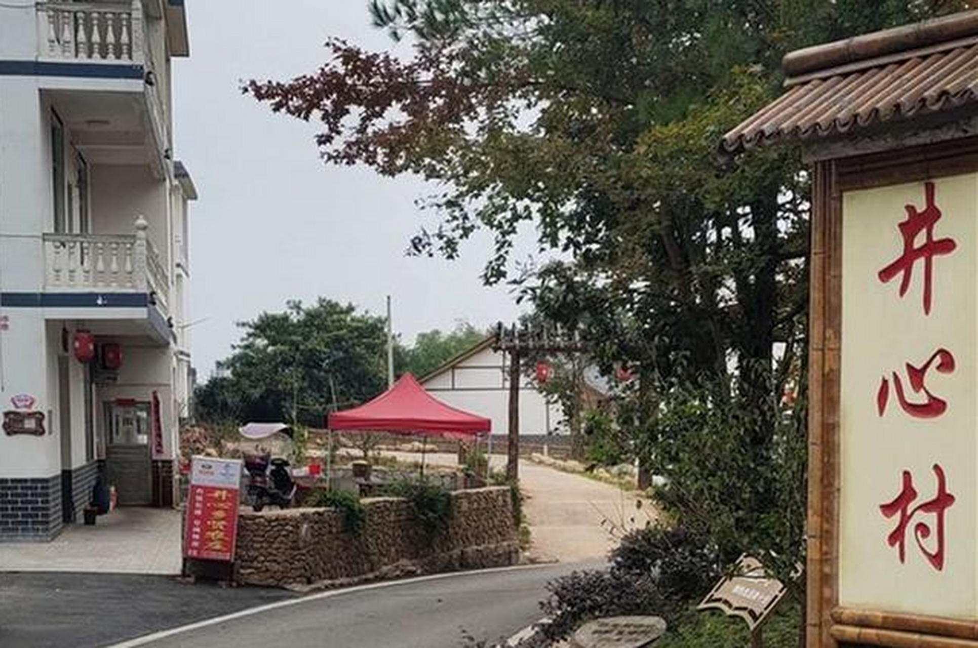 井心村是一个秀丽如画的小山村,距离县城约11公里,"红,古,绿"三色交