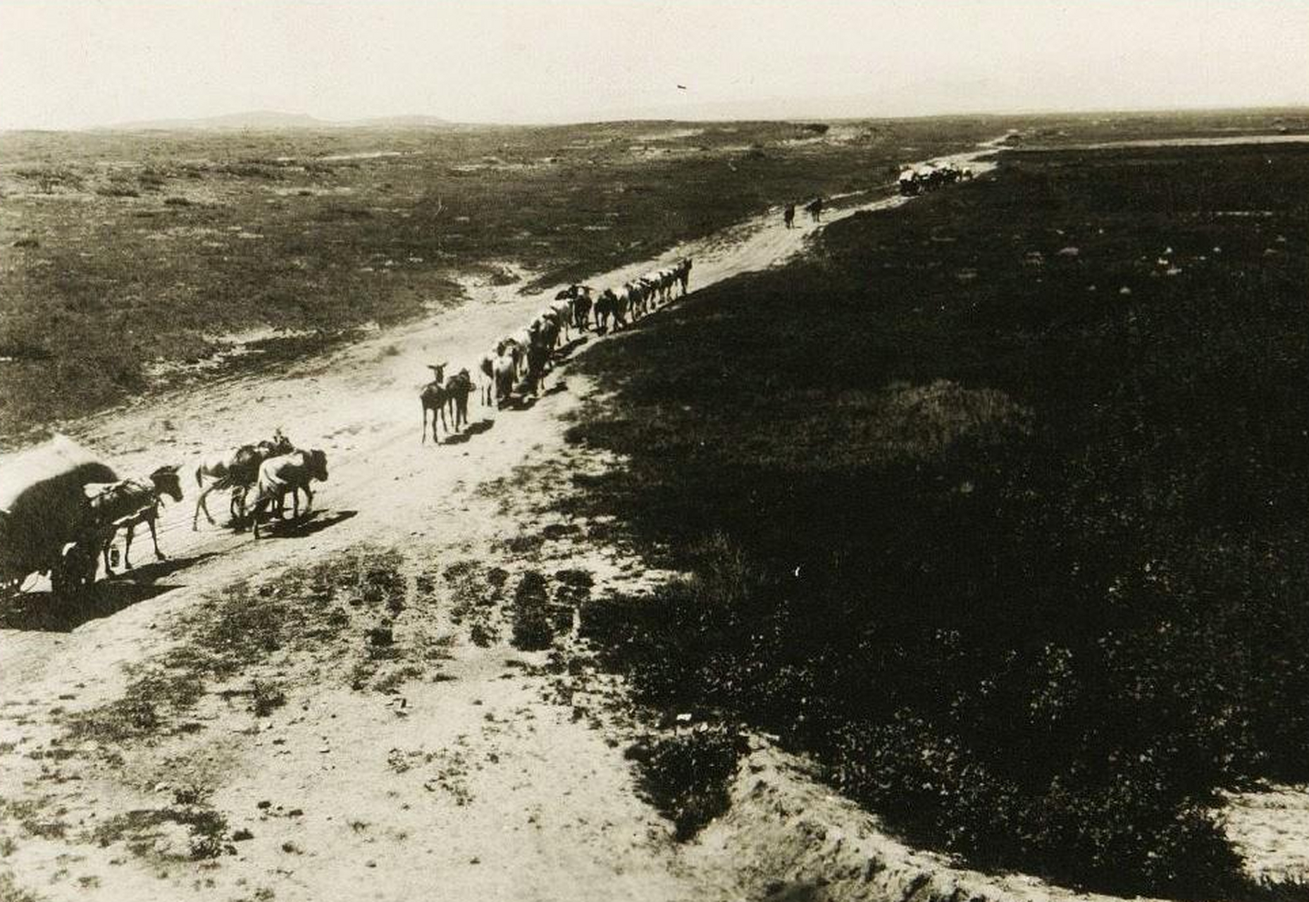 经典历史老照片#