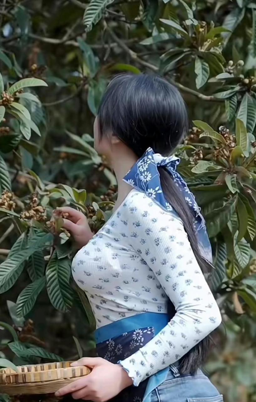 这美女摘的是什么果,有那么好吗,爬那么高