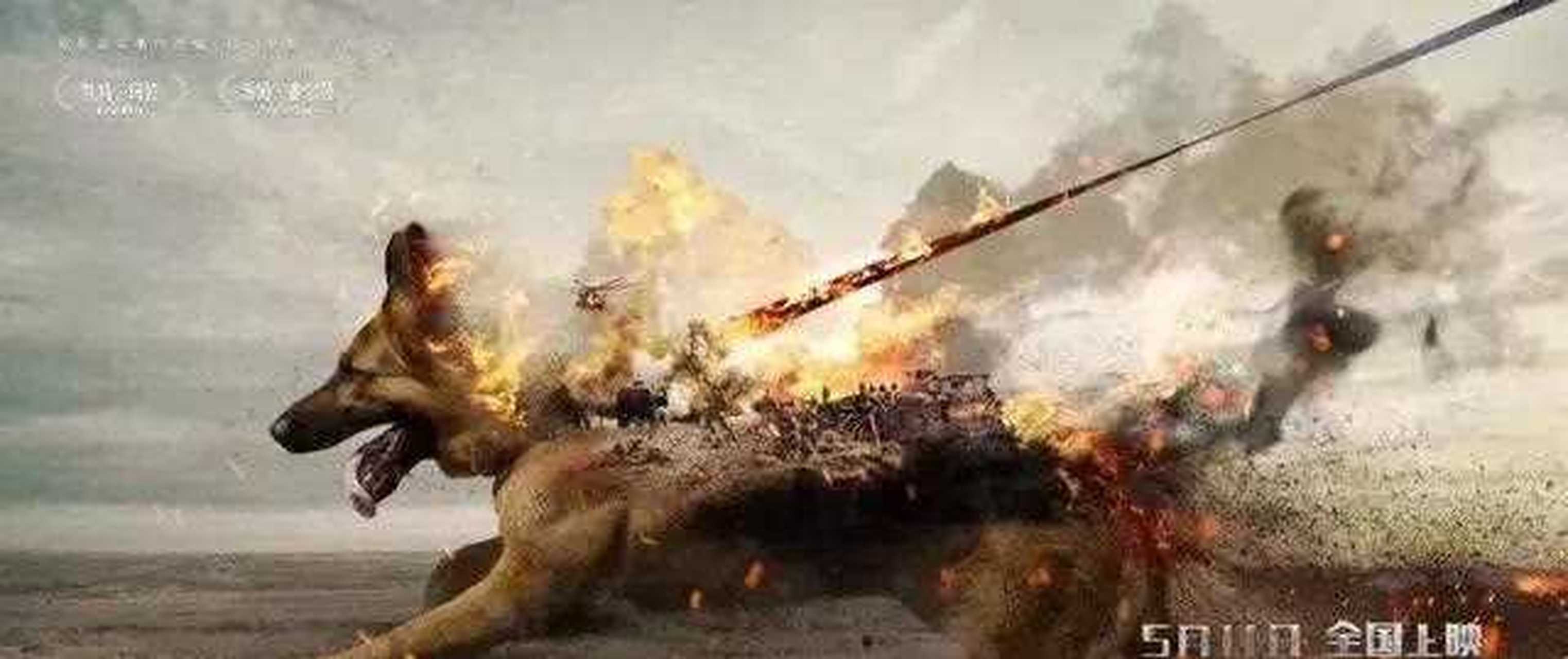 《战犬瑞克斯》一部少有的综合多重热度题材的电影,以战争题材呈现