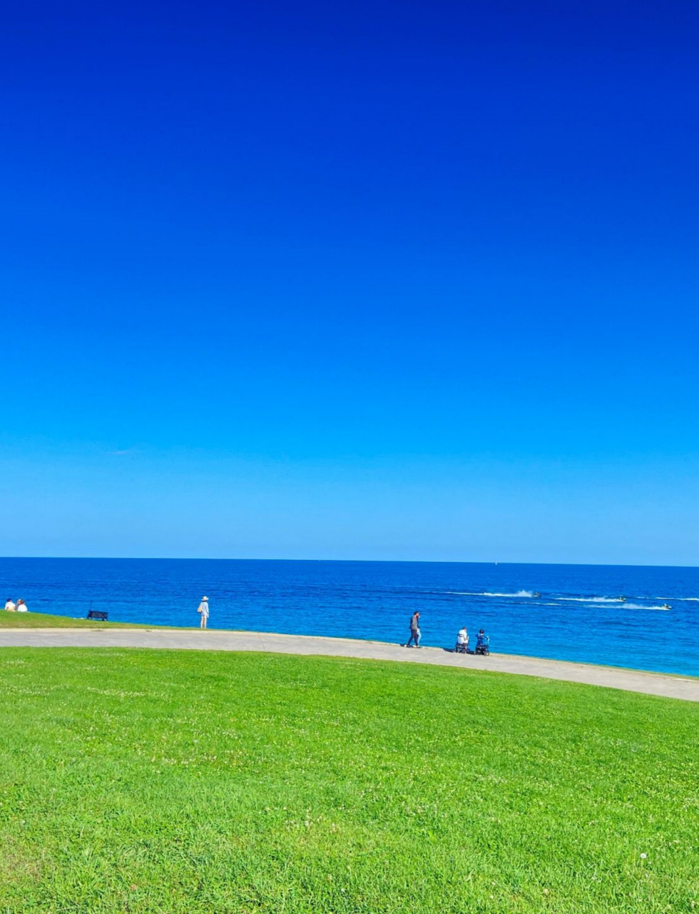 安大略湖畔的夏天长这样  #安大略湖#  #多伦多生活