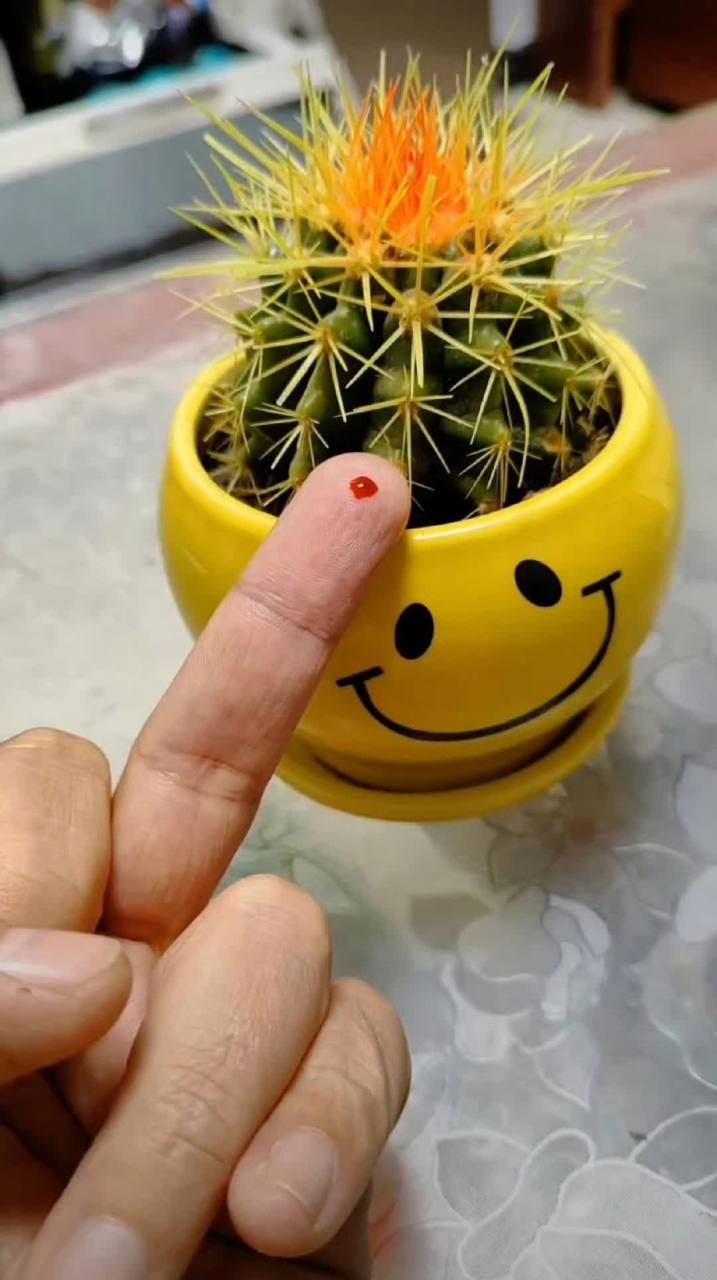 他的表情怎么变的真是令人费解[二哈]