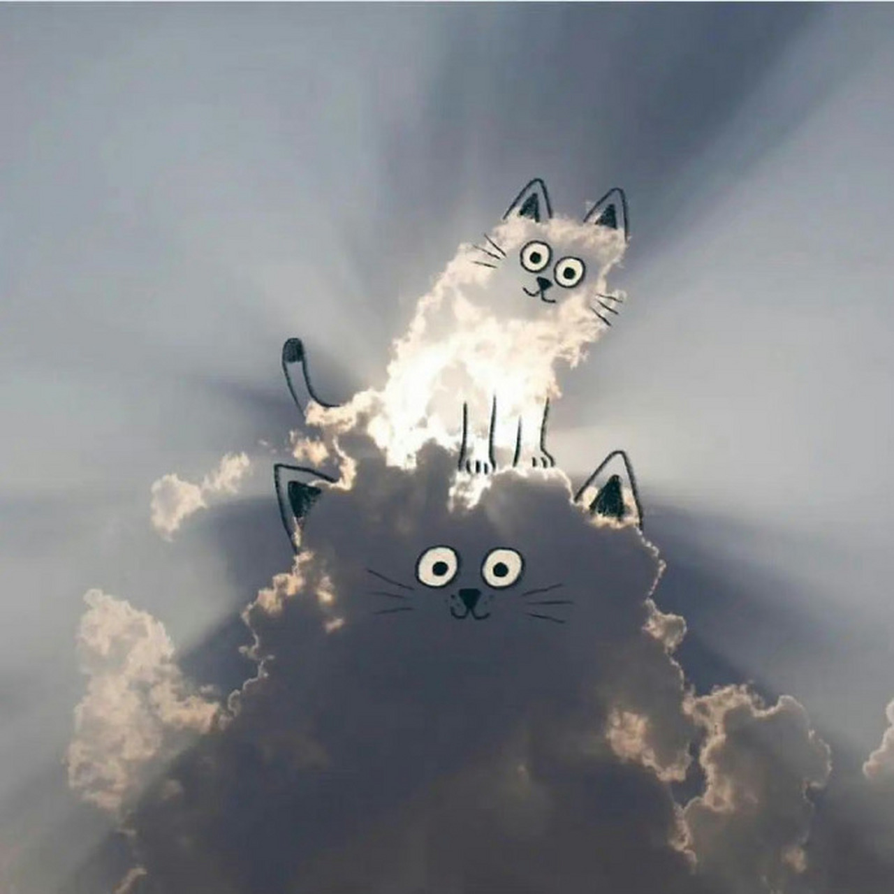 云朵变成的小动物 67