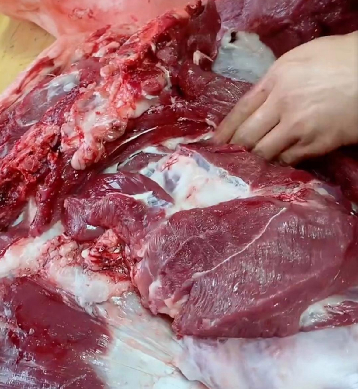 现杀的猪肉就是鲜啊!看这肉多好.