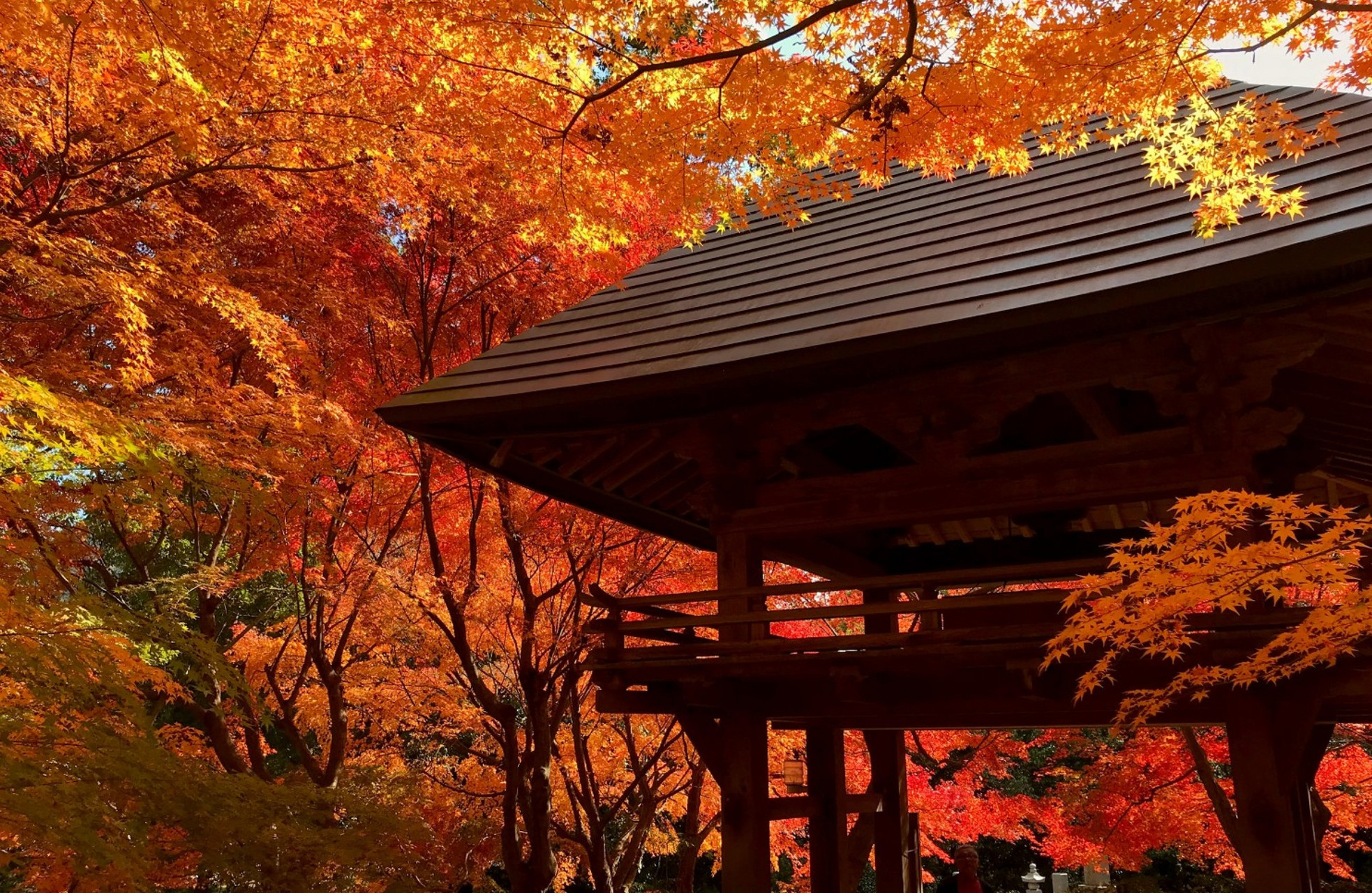 山口县山口市的【两足寺】是人们口中常说的"红叶寺",这个名胜古迹真