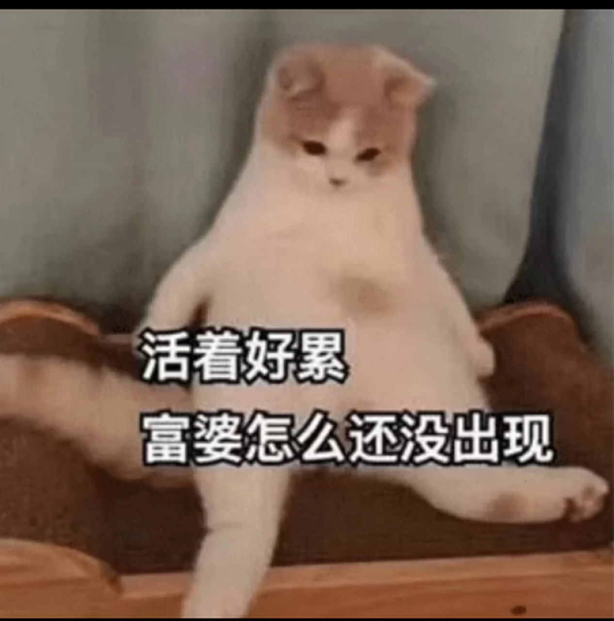 活着好累啊,富婆怎么还不出现