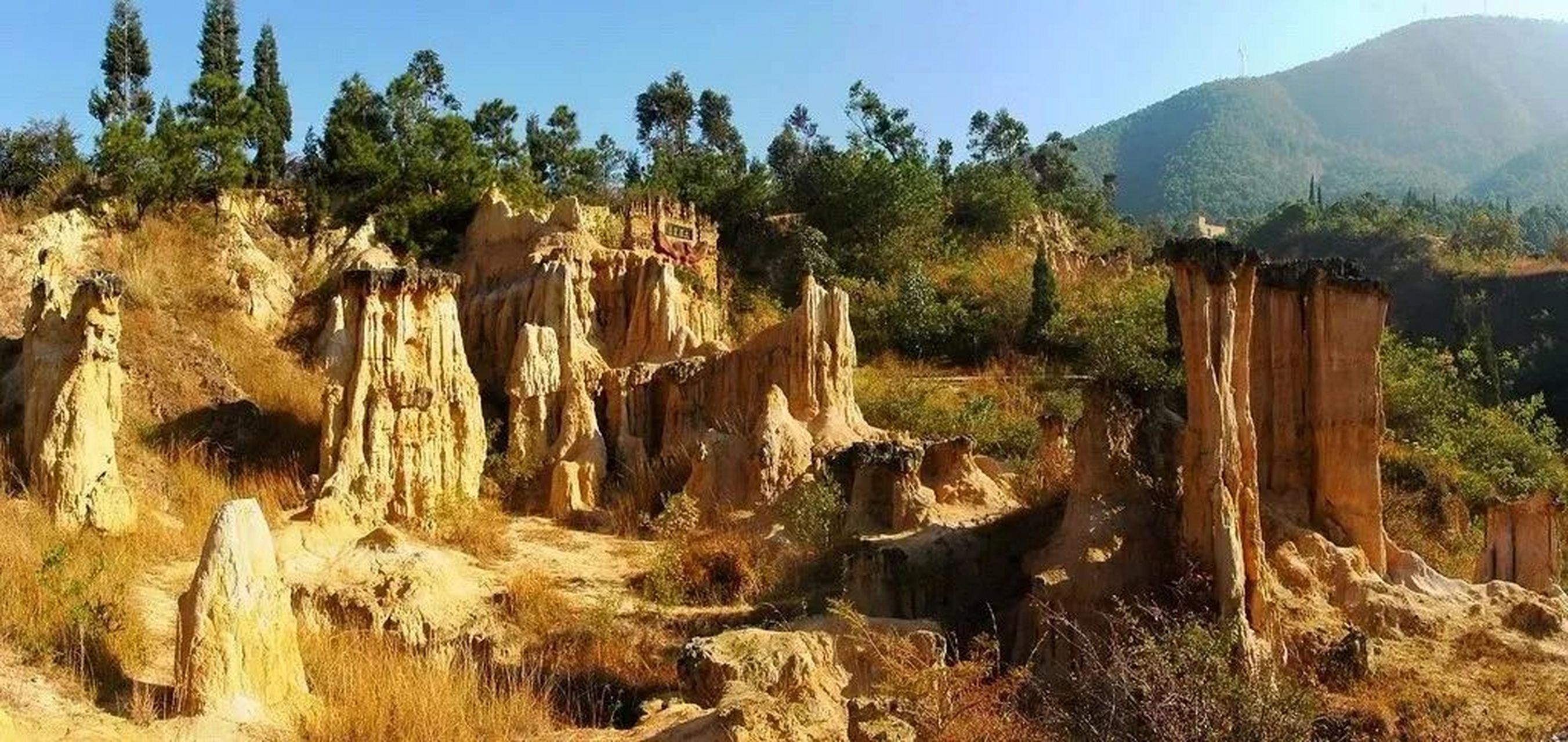 西昌黄联土林位于黄联关镇,距离市中心30余公里,在安宁河左岸的谷坡