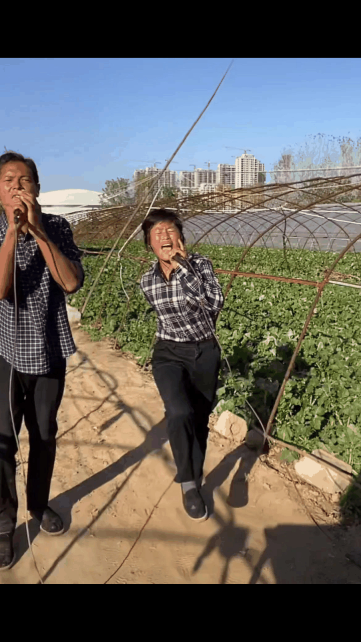 #gif创作人# 河南驻马店的这对夫妇直播,看着真累! 11月13日,河南驻马