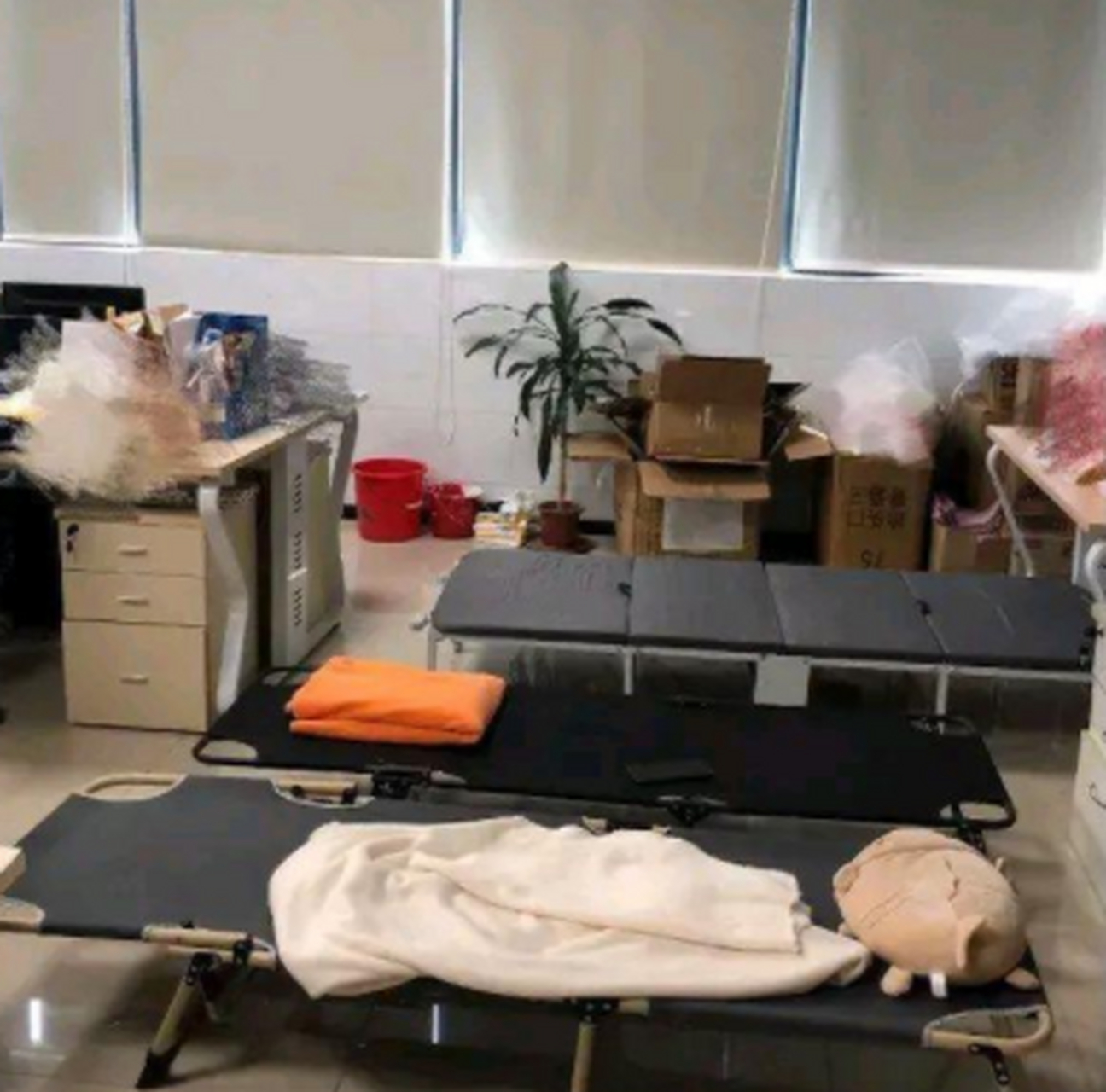 办公室午睡,领导来了骂骂咧咧的走了!