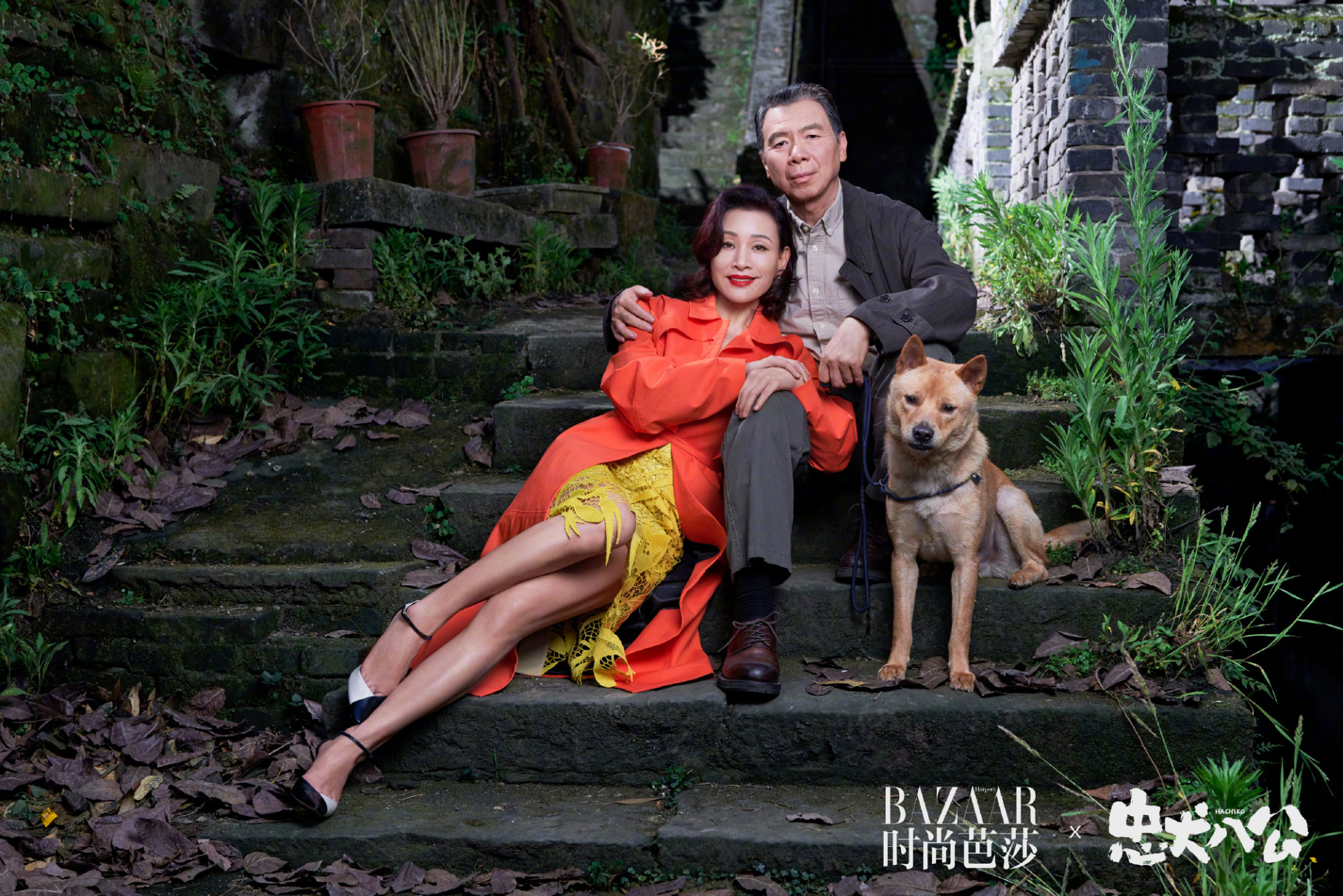 《忠犬八公》春日大片,冯小刚,陈冲携中华田园犬大黄温暖出镜!