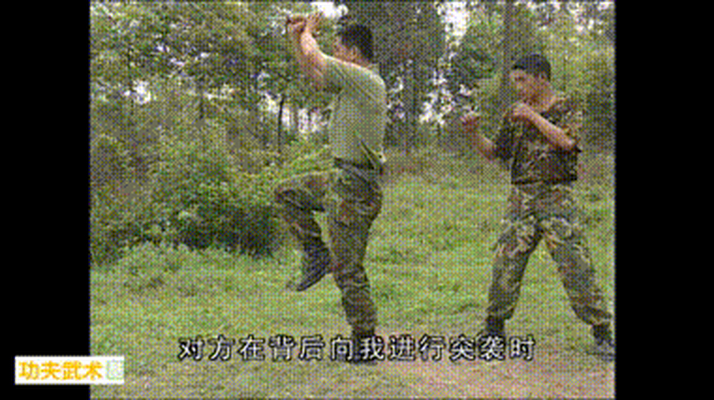 gif图演示:解放军捕俘刀5-8式的实战格斗运用[good]  在6月9日本账号