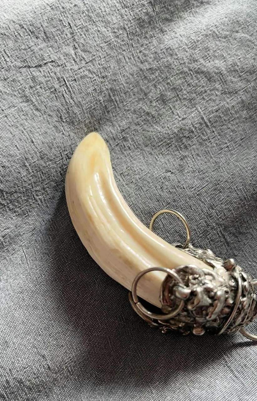 男朋友送给我的,他说这个是老虎的牙,挺值钱的