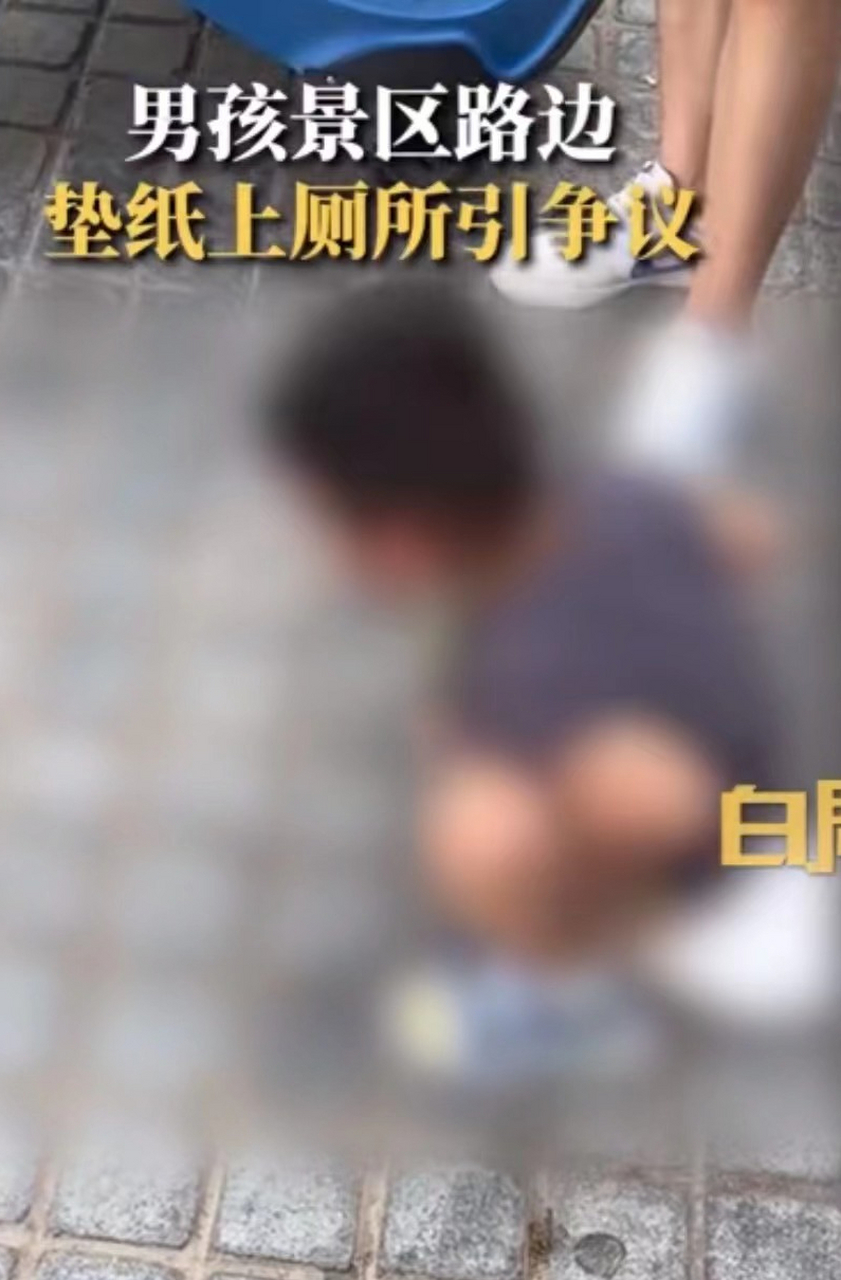 最近,北京的一名男孩在景区路边垫纸上厕所的视频引起了争议.