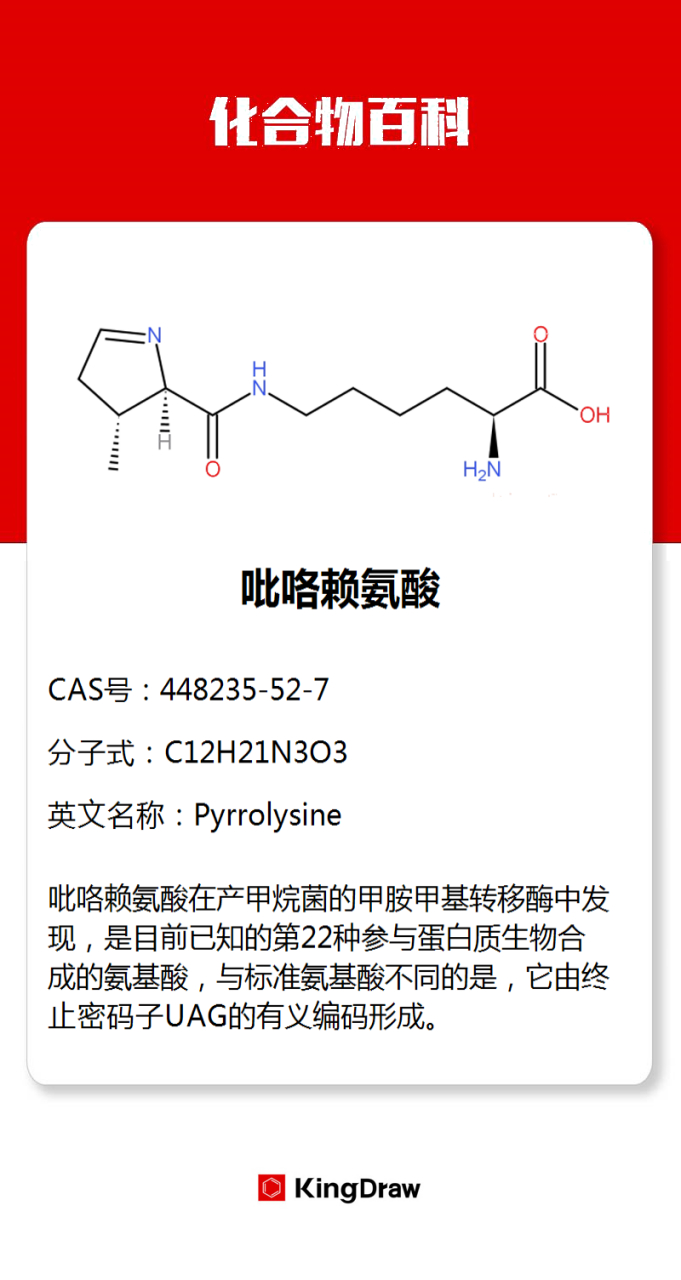 赖氨酸结构式图片图片