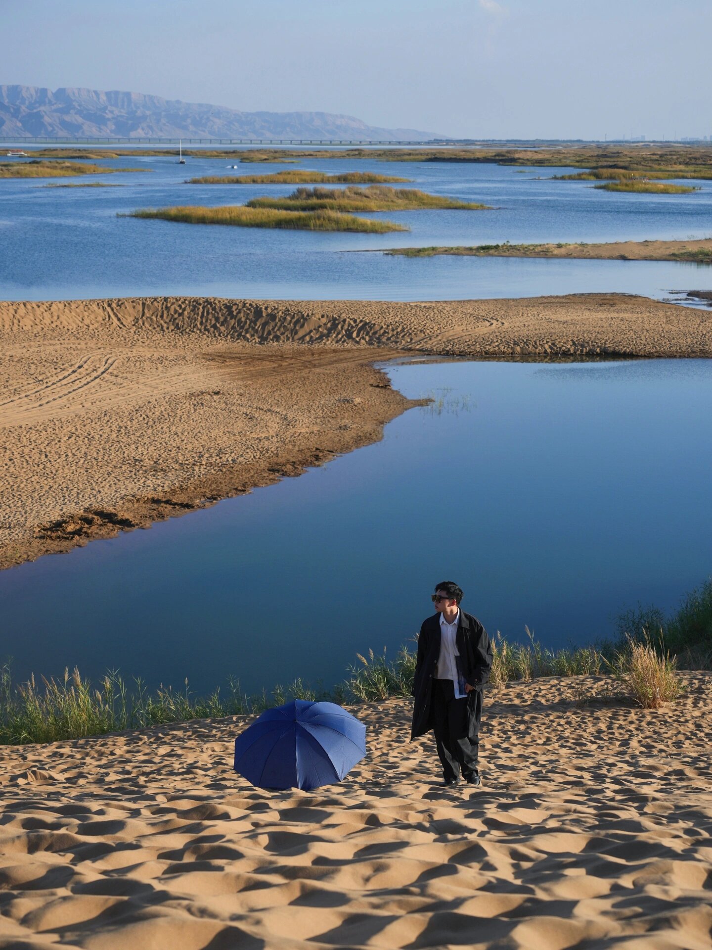 "在沙海中肆意生长" 一半沙漠 一半海 两个截然不