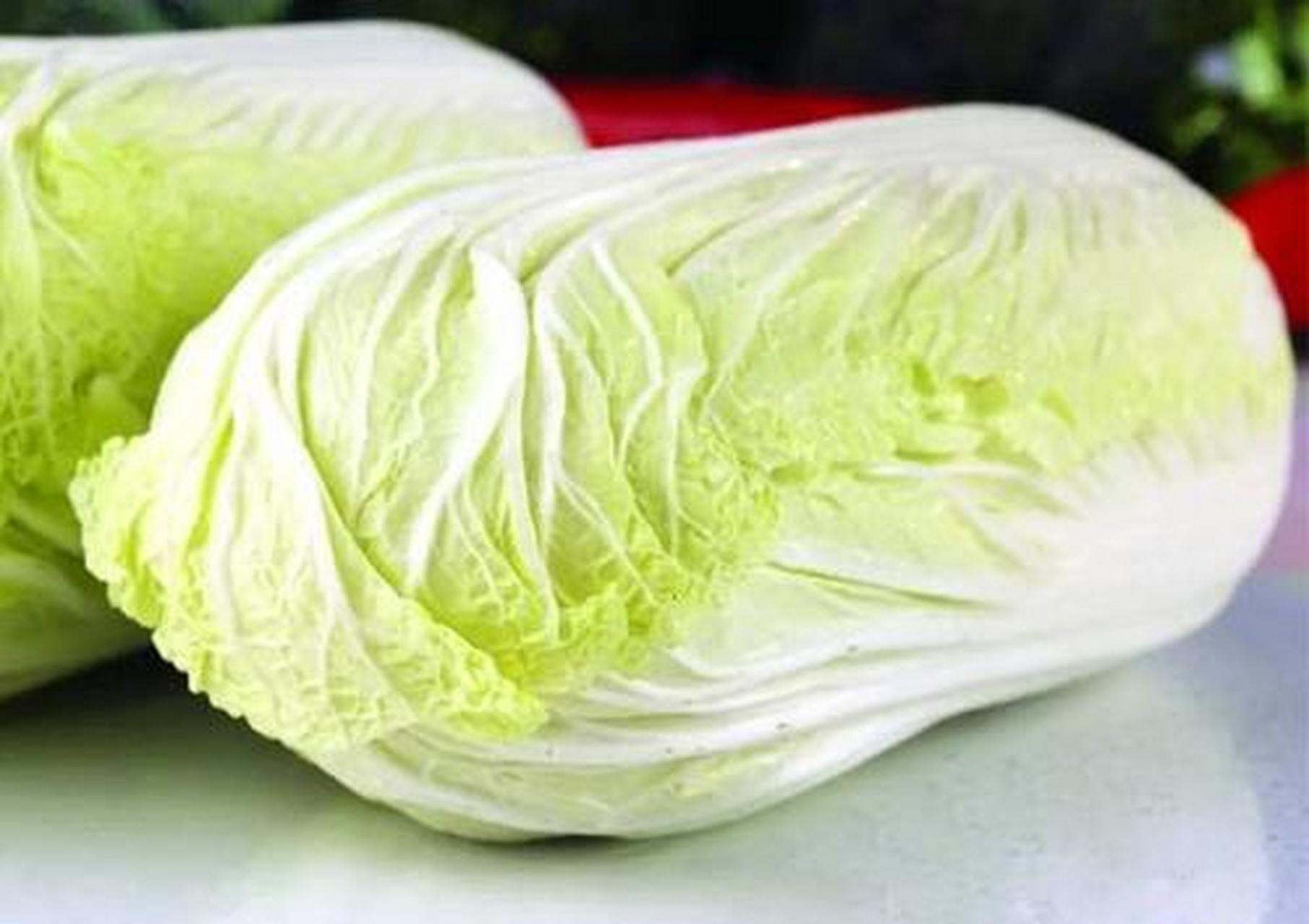 黄芽白,也就相当于老百姓餐桌上的"黄心白"吧.