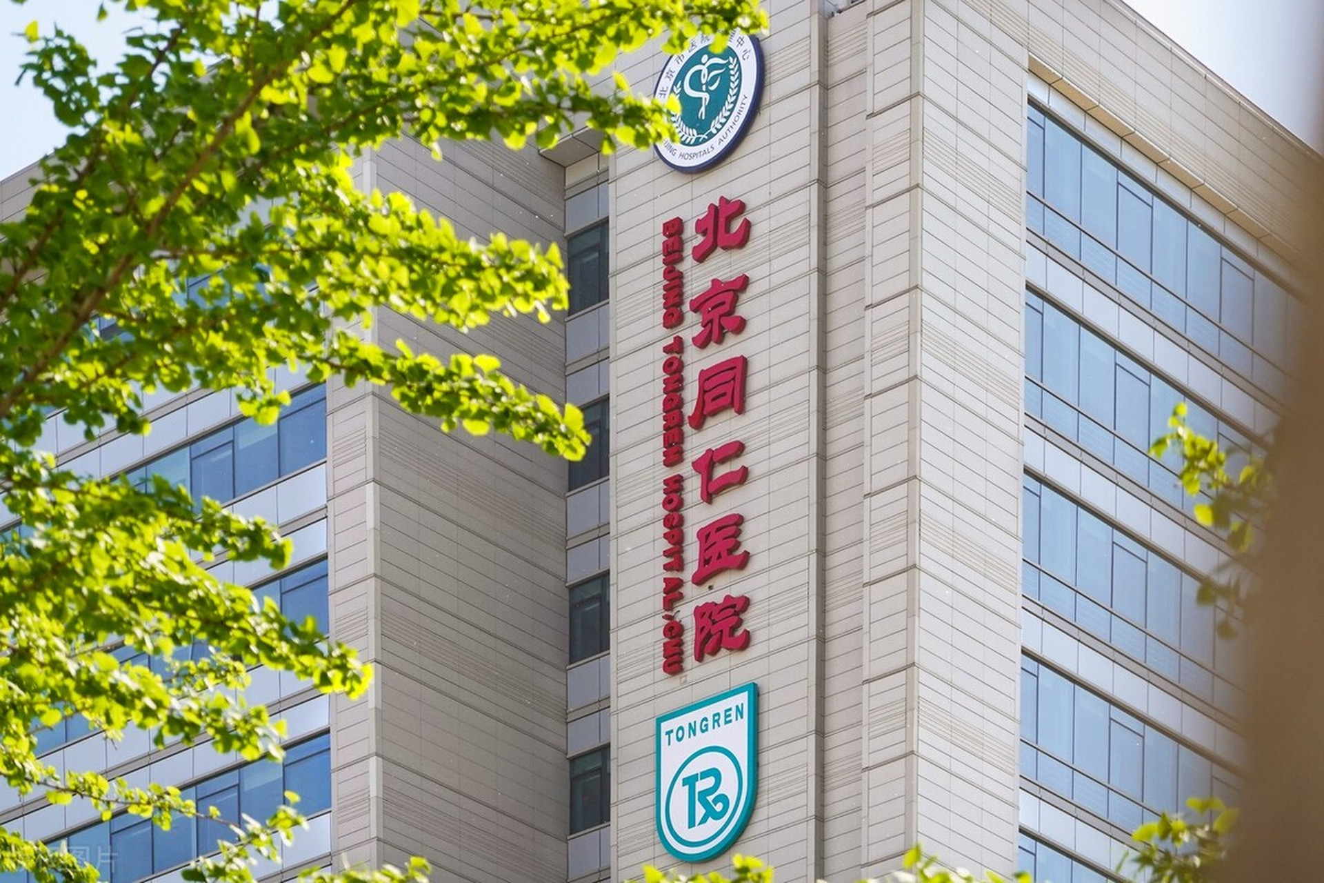 关于北京同仁医院、密云区黄牛票贩子挂号号贩子联系方式的信息