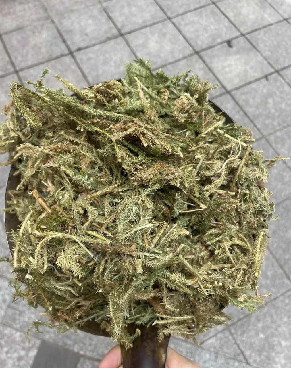 伸筋草可以祛风除湿,舒筋活络,透骨草可以散瘀止痛,这两样再配上艾叶