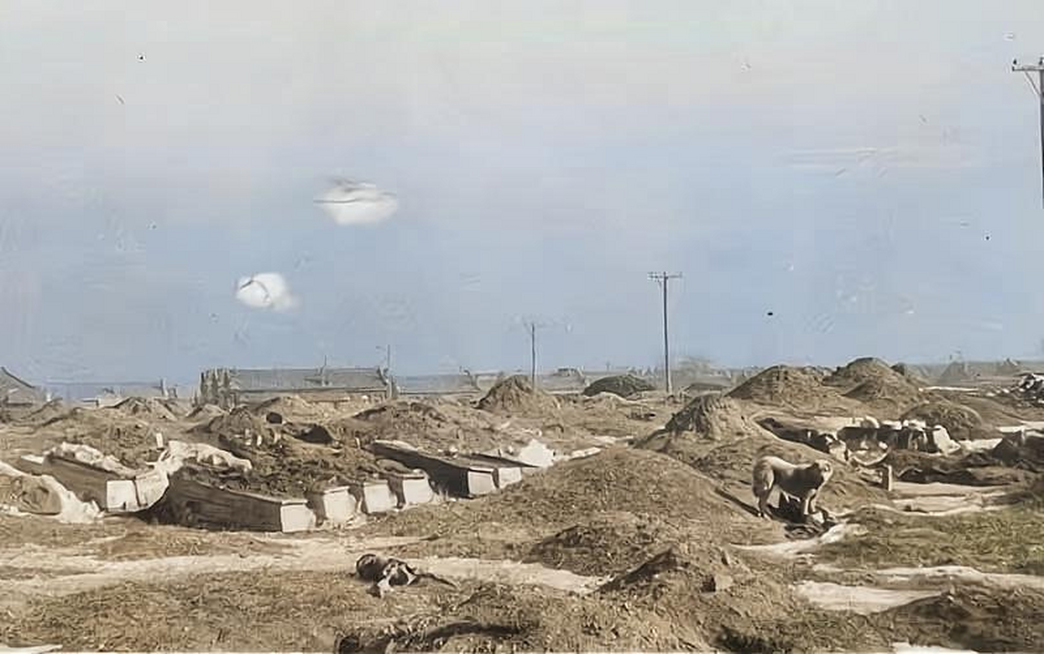 一团糟!1948年沈阳郊外的一个万人坑.阳光虽然温暖,但气氛却有些压抑.