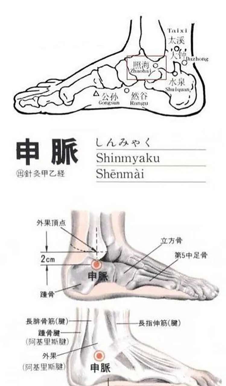 申脉穴:是足太阳膀胱经的穴位与阳跷脉直接相交 主要功效:安神宁志
