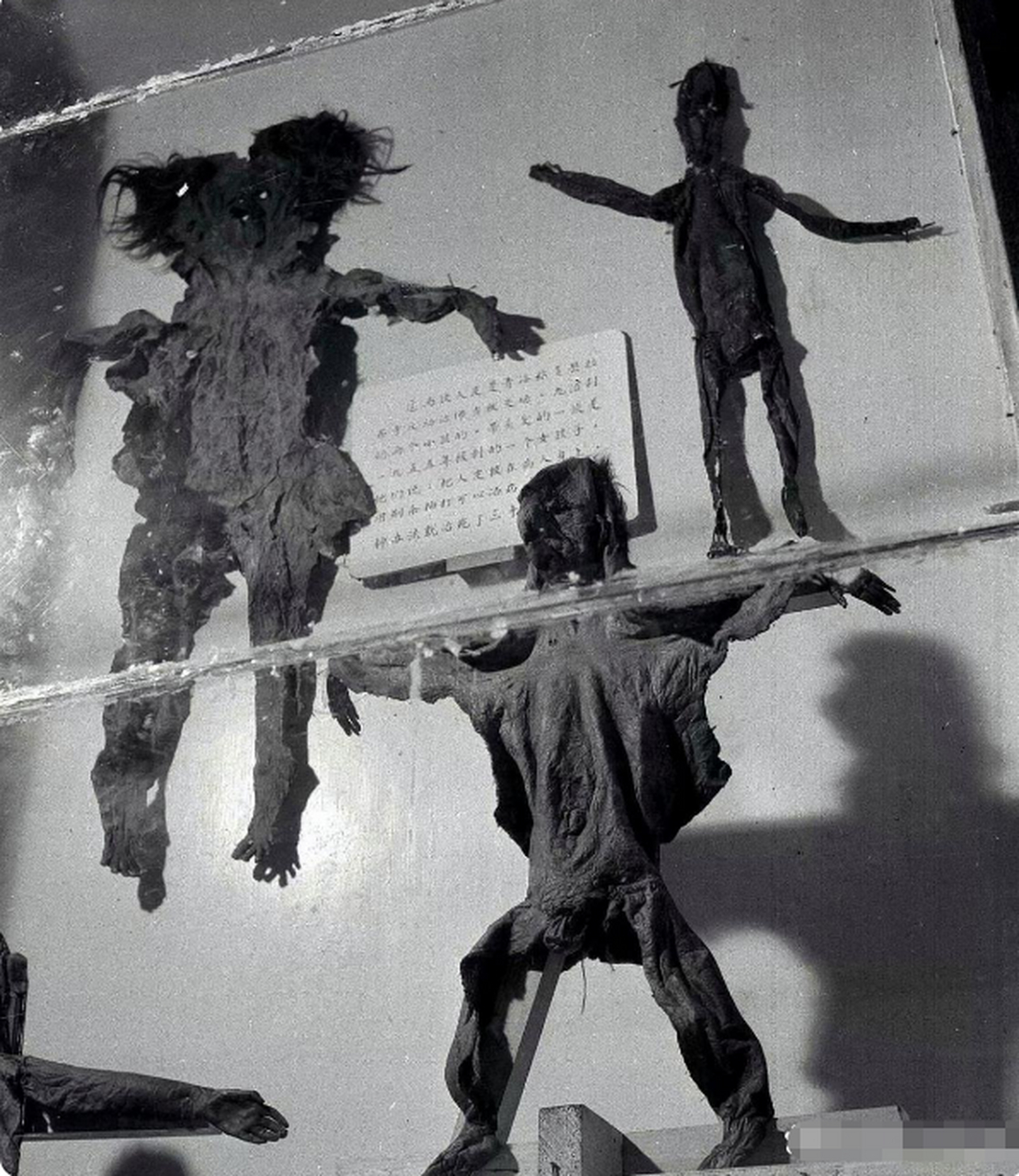 1959年,西藏展,刑具/人皮