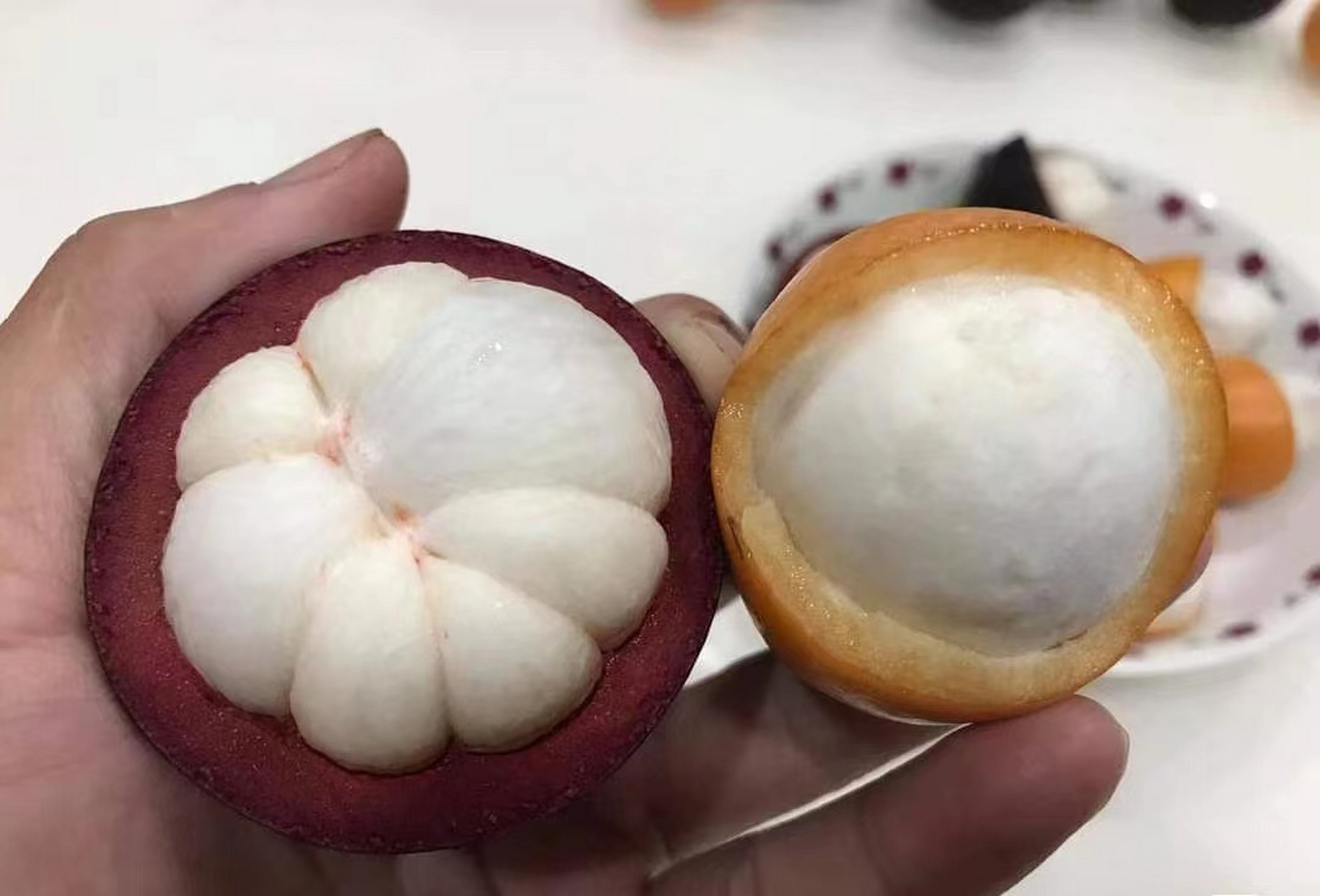 澳洲黄金山竹: 阿恰恰巴拉圭的当地语言意指《一个蜂蜜似的吻》 长相