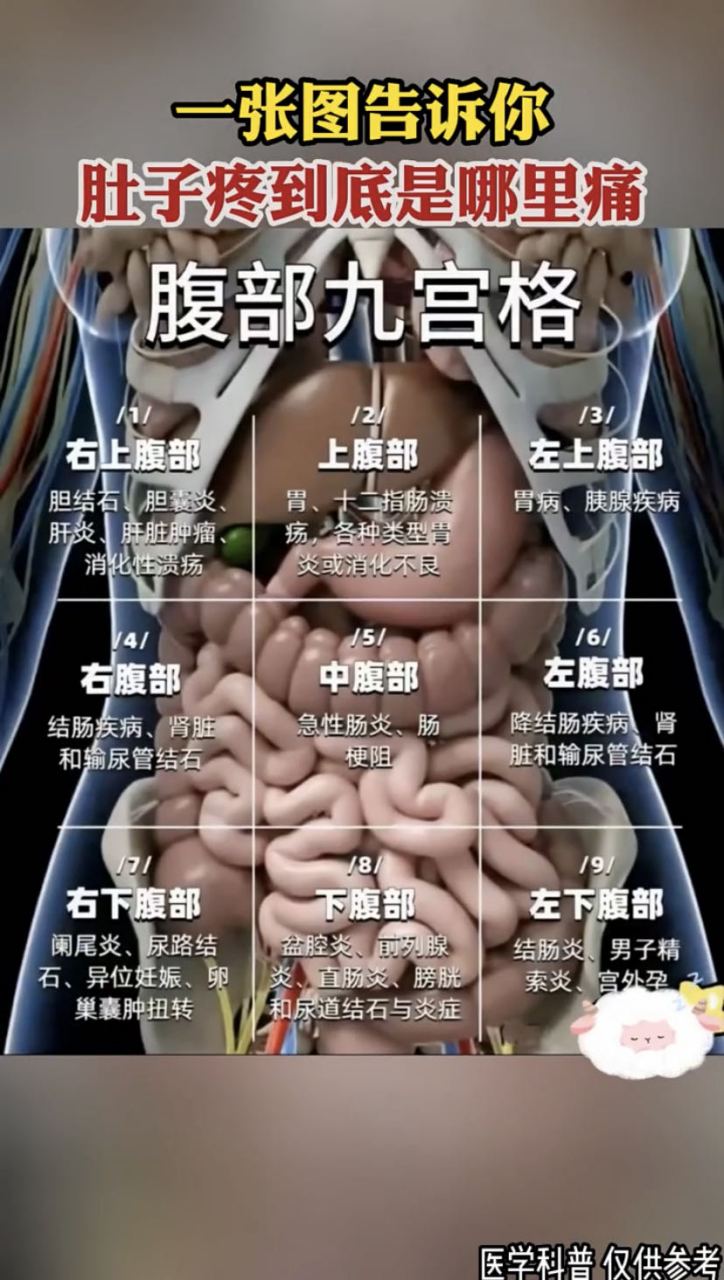 普通人没有学习过人力内部构造,自然很难说明白