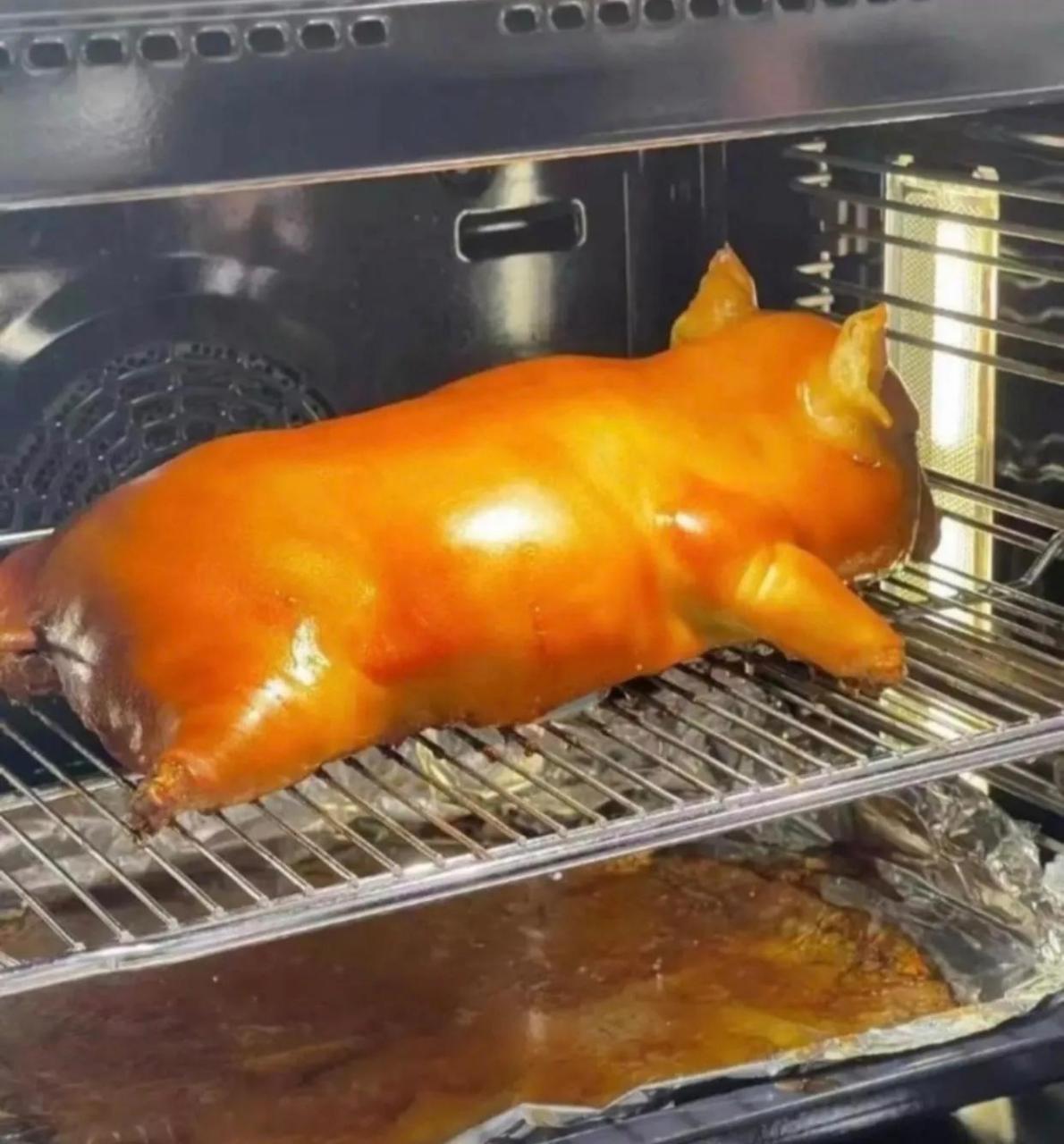 烤乳猪太残忍了,这么可爱的小猪,怎么对它们下得去手,太可怜了,它们