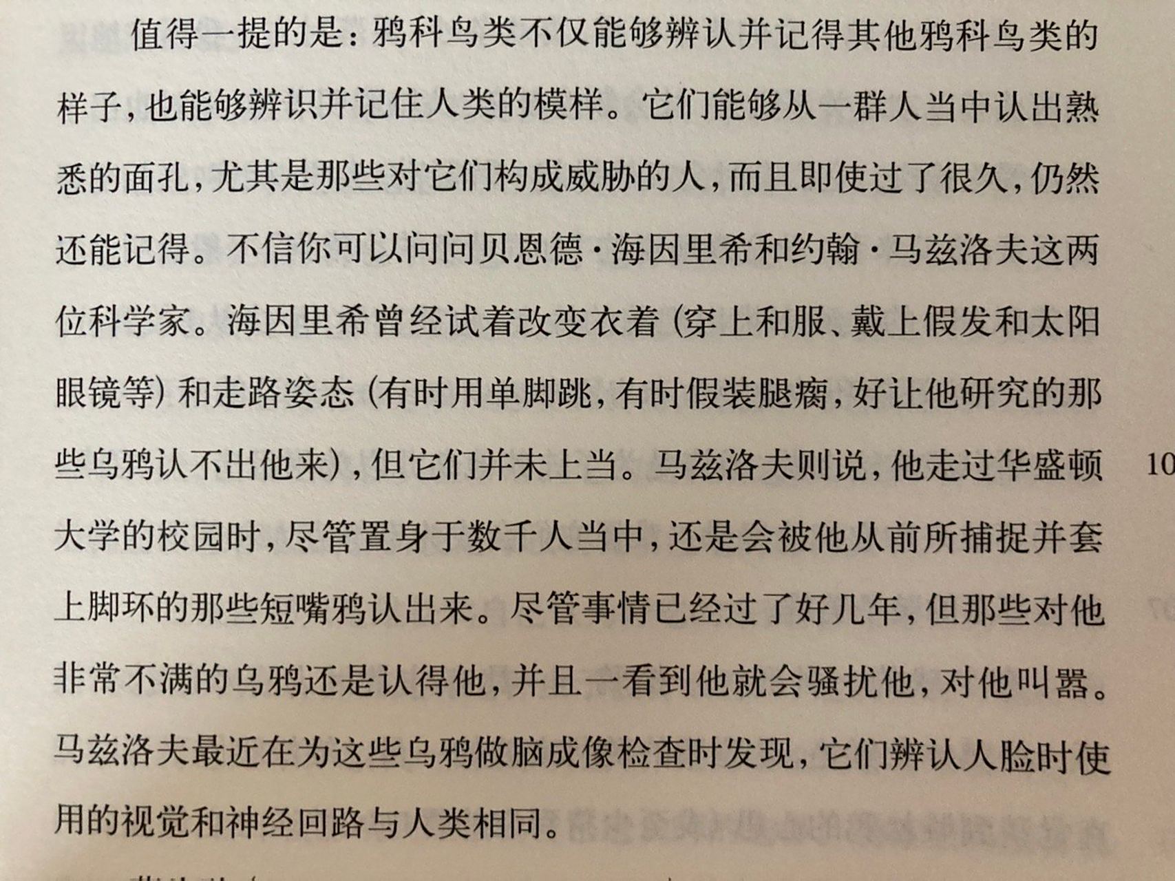 鸦鸦always pay their debts