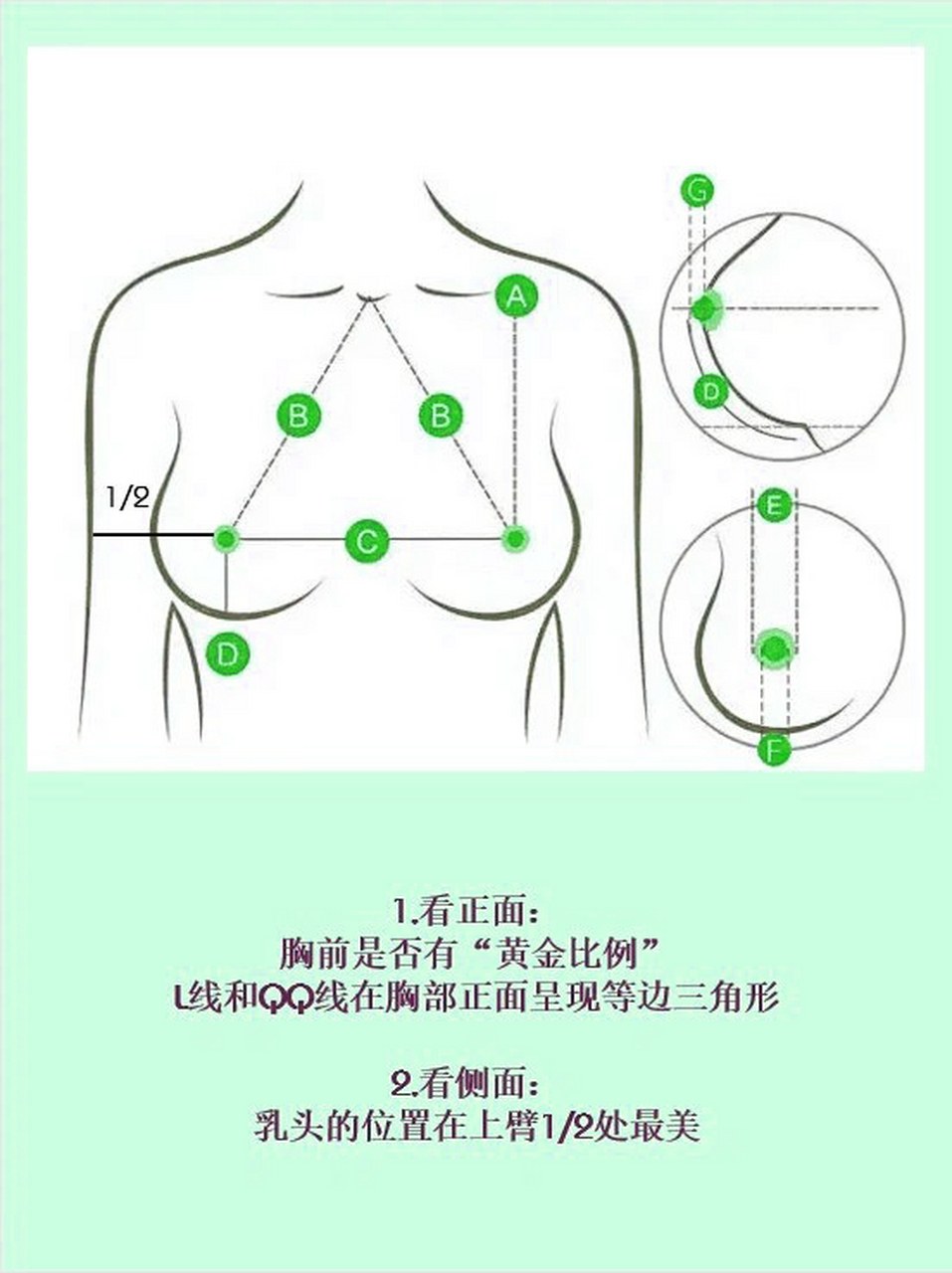 完美胸型的黄金密码你知道吗?#隆胸