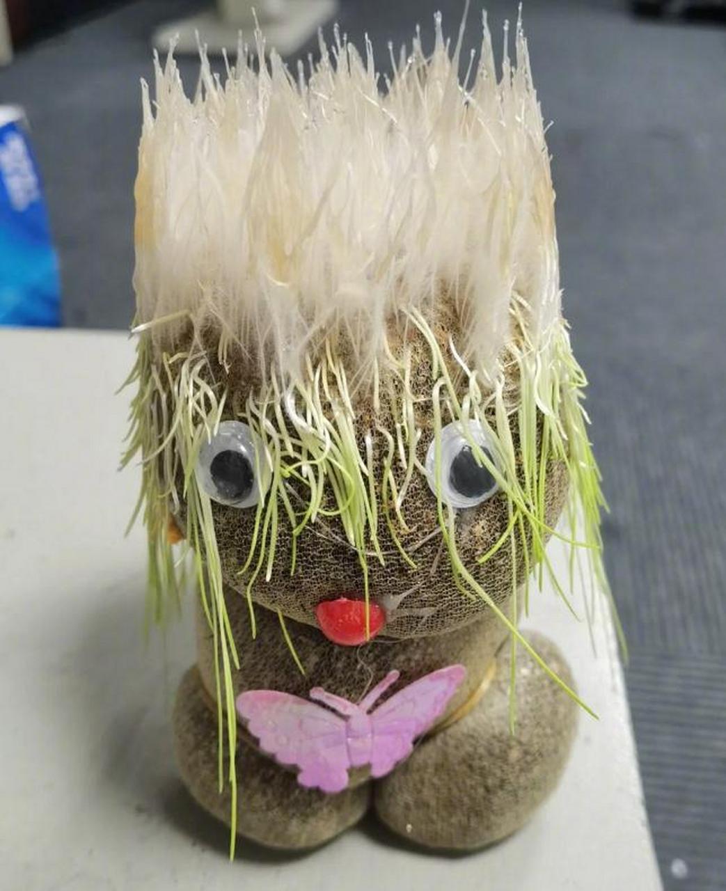 长草娃娃种反了,哈哈哈哈还长了白发#搞笑趣图