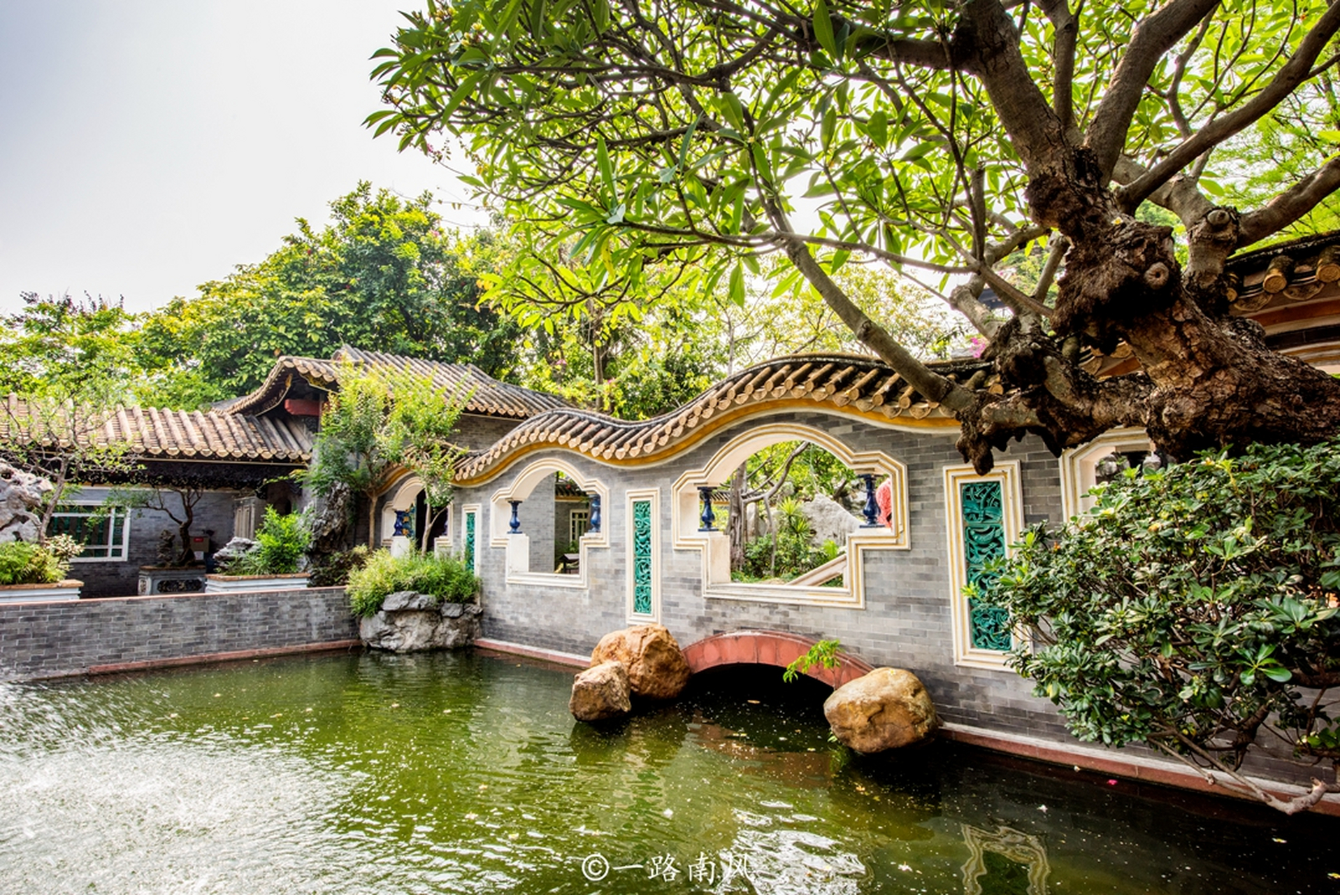 广东旅游最新资讯(广东旅游最新资讯消息)