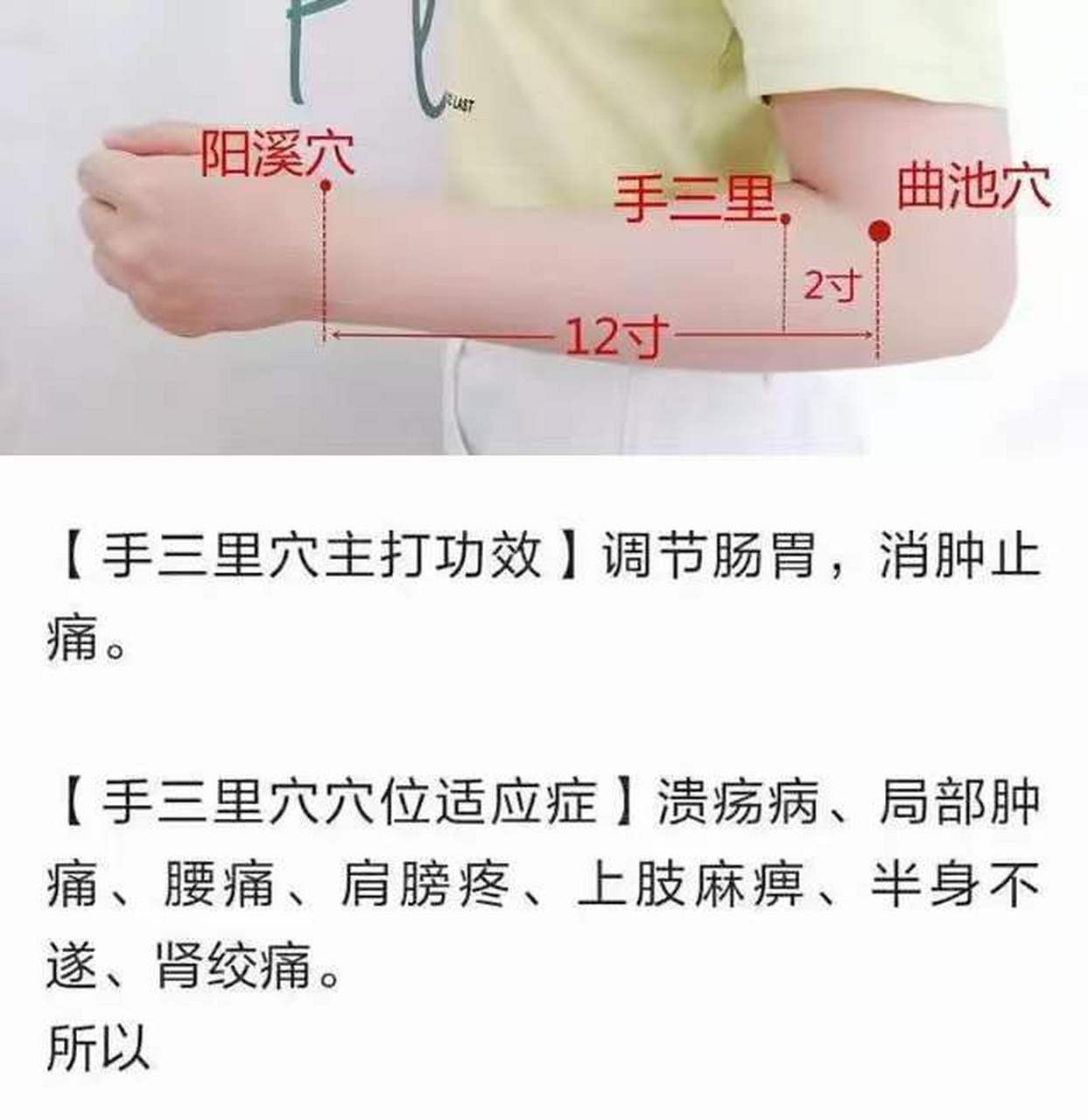 手三里是大肠经的大穴,极易堵塞,这个穴位疏通之后,肠胃问题会好很多