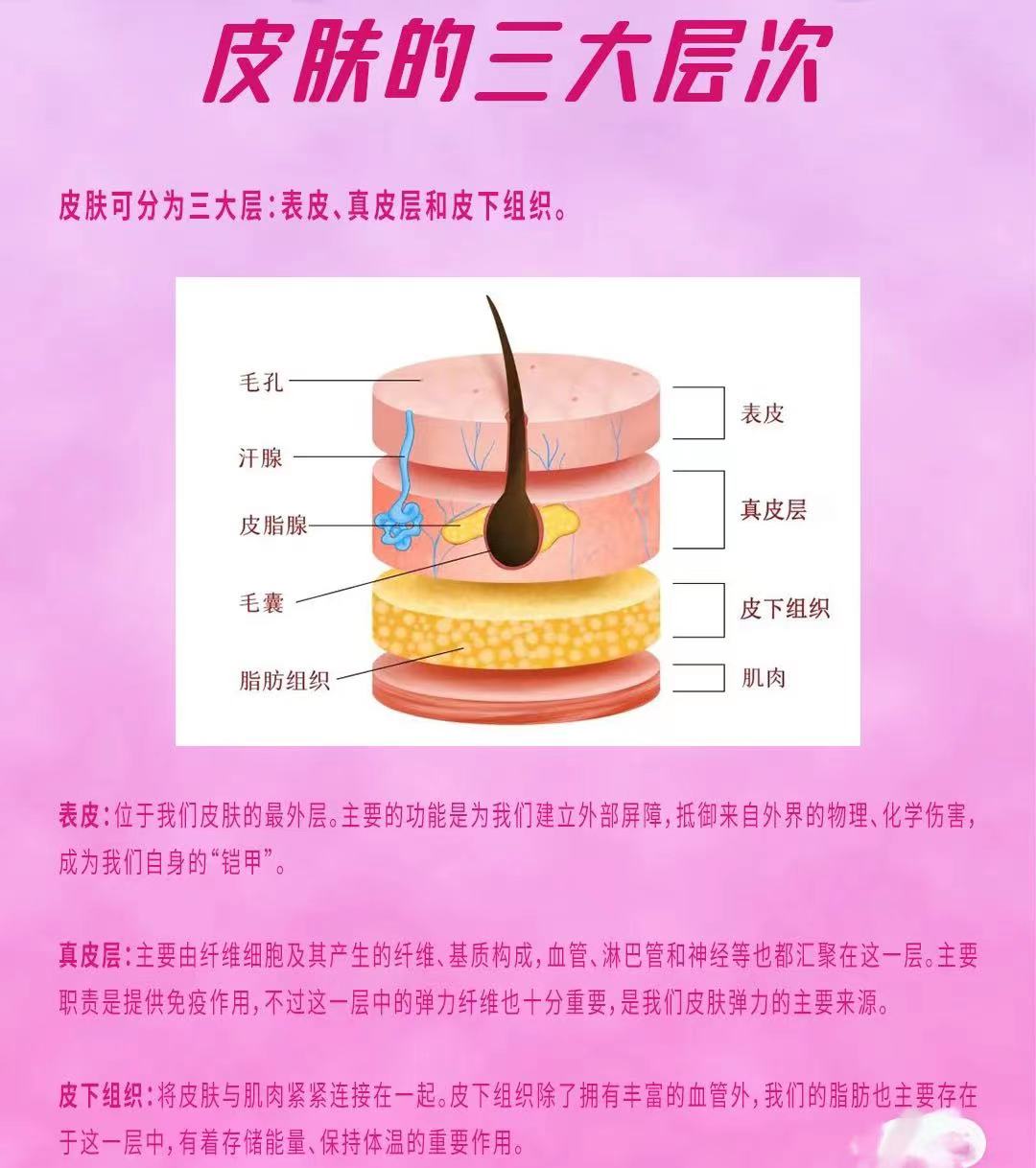 爱美的小仙女都知道