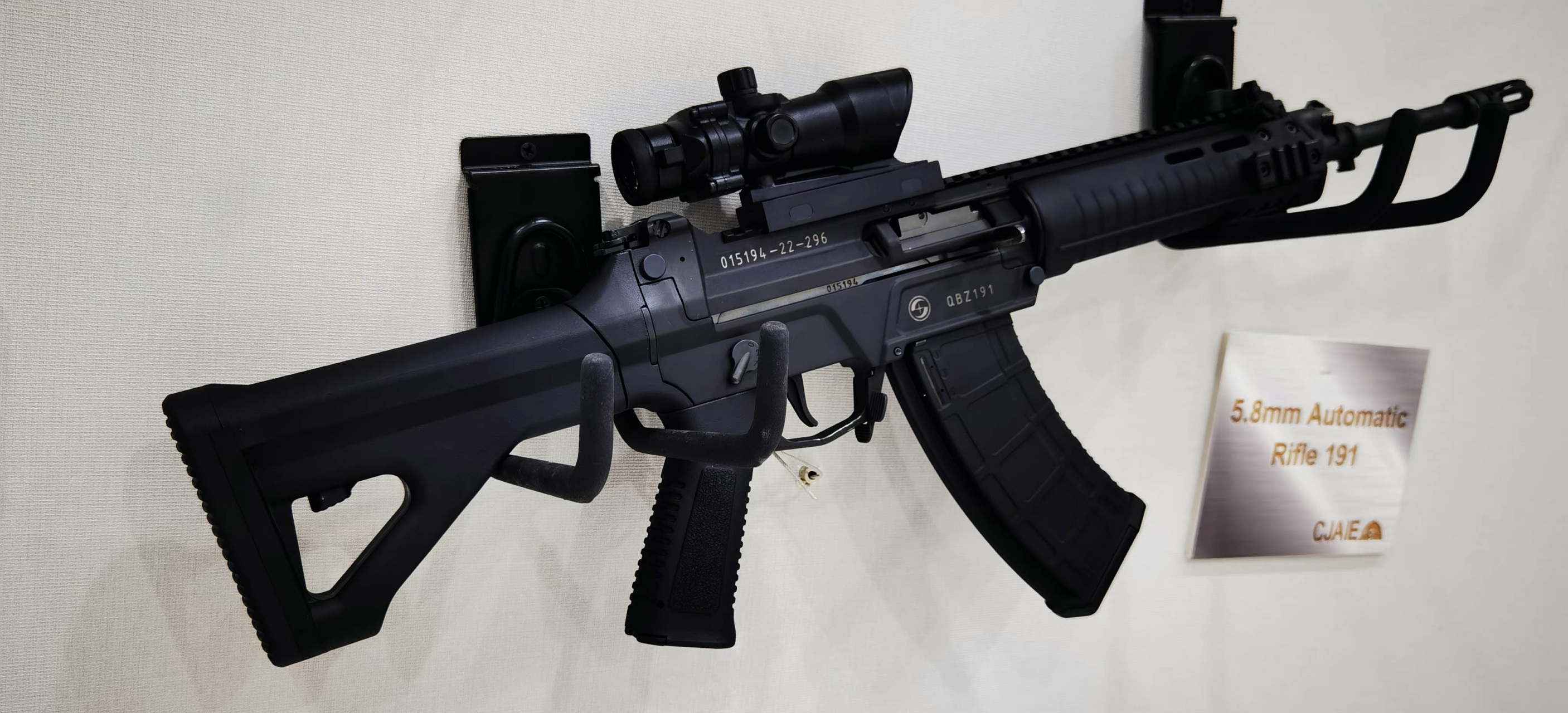 8mm精准步枪吧,图片为国产191枪族在国外参展.