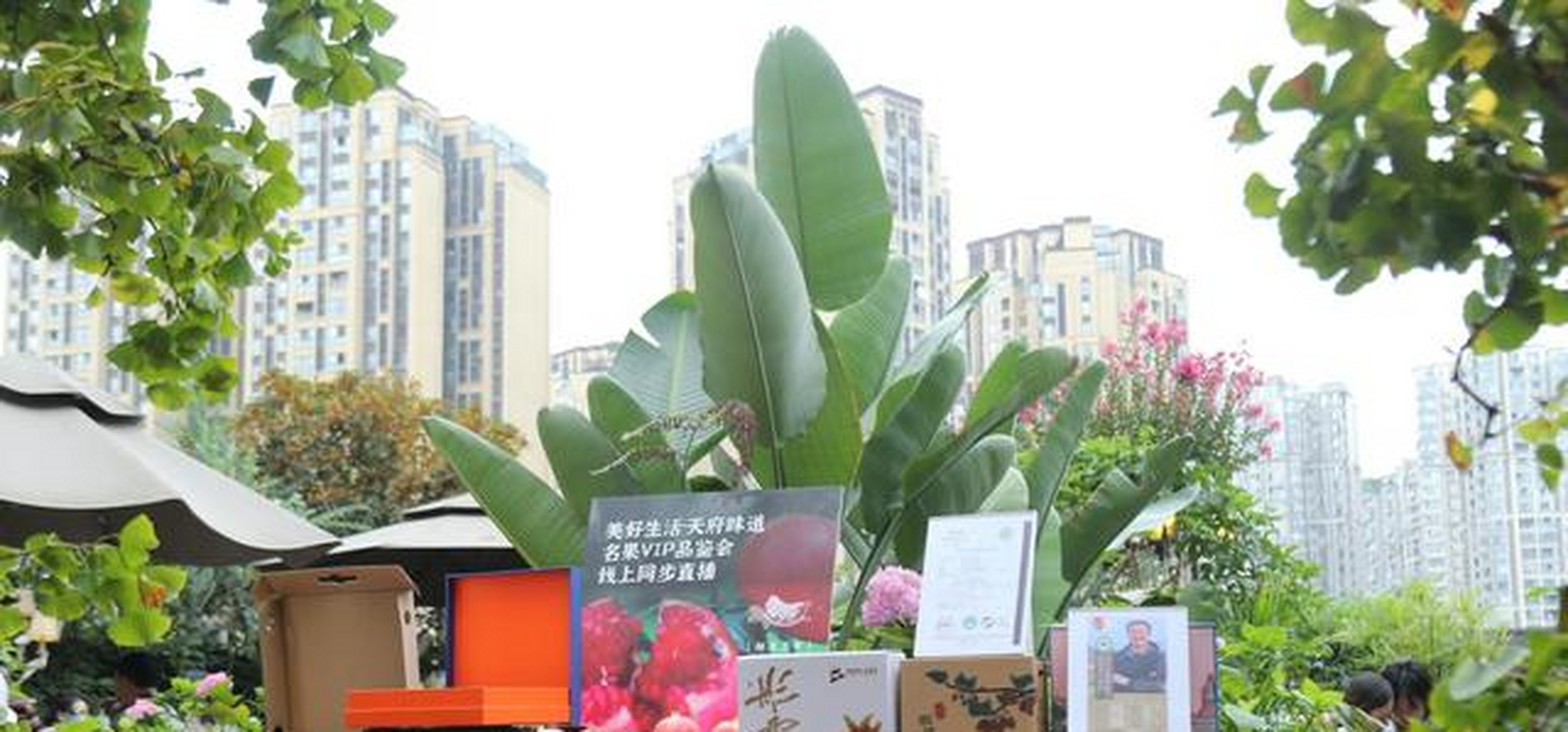 dtd文化董事长叶兰兰分享了通过打造优质原创ip活动,提倡高质量陪伴和