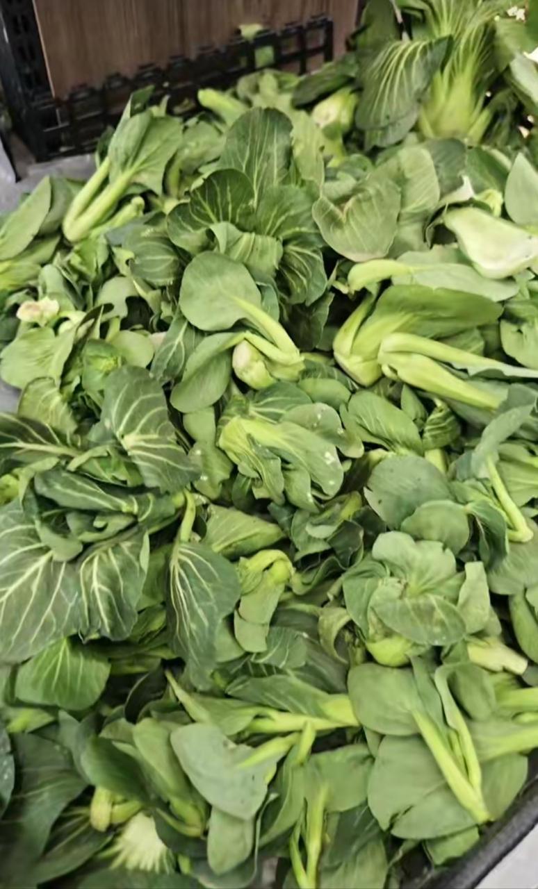 这就是南方人的青菜吧