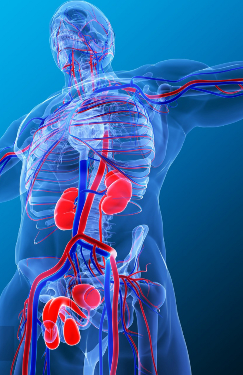 很多人认为男性勃起是性冲动,其实这是一种误解.