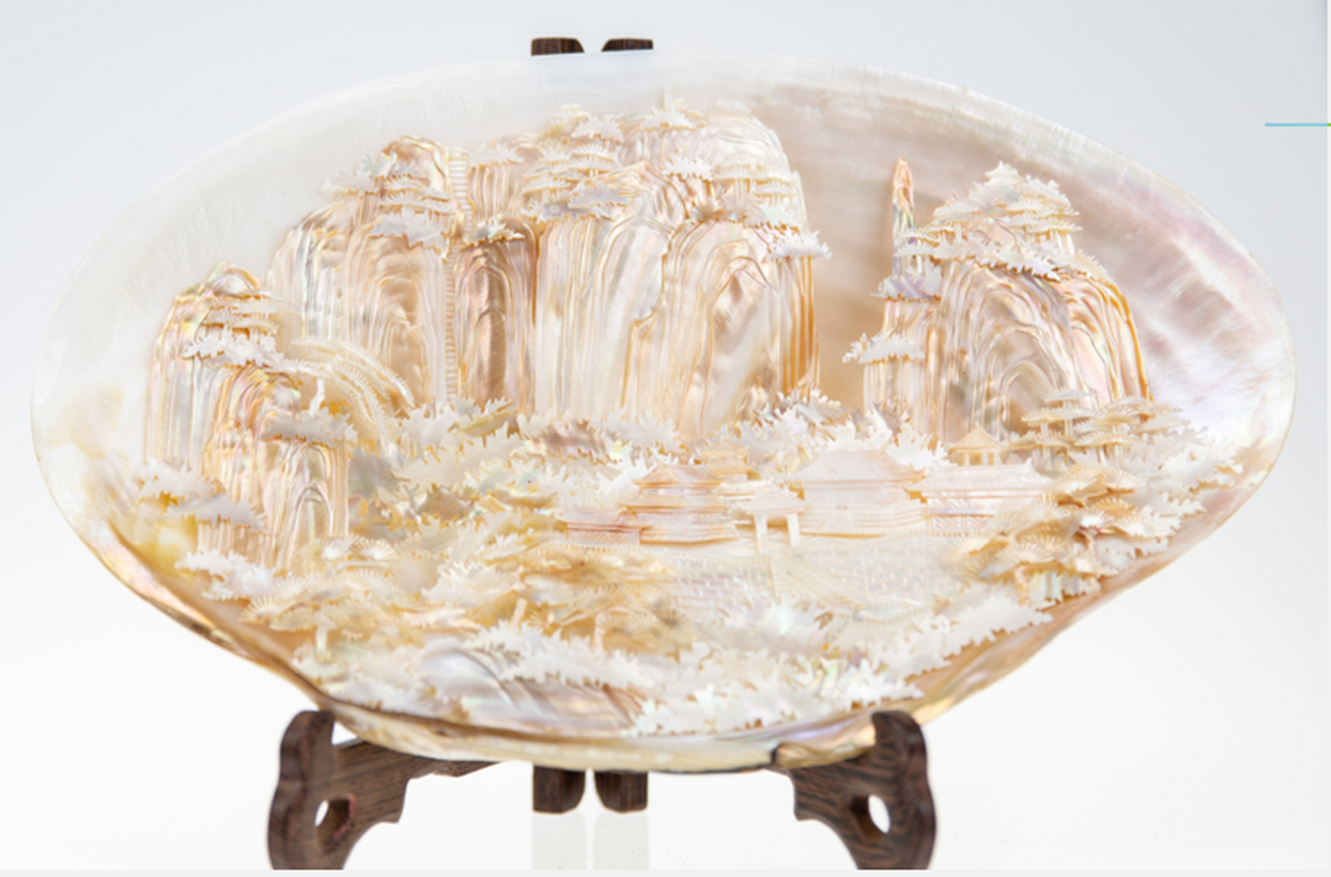 贝壳是珠宝圈内最常见的配饰之一,且佩戴历史悠久.