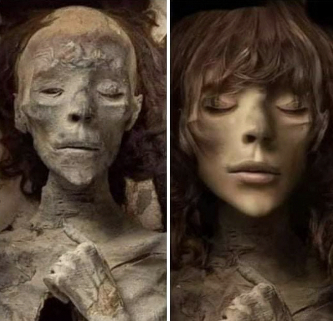 图中是古埃及法老图坦卡蒙的妻子蒂耶,右边的图片是一个德国研究人员