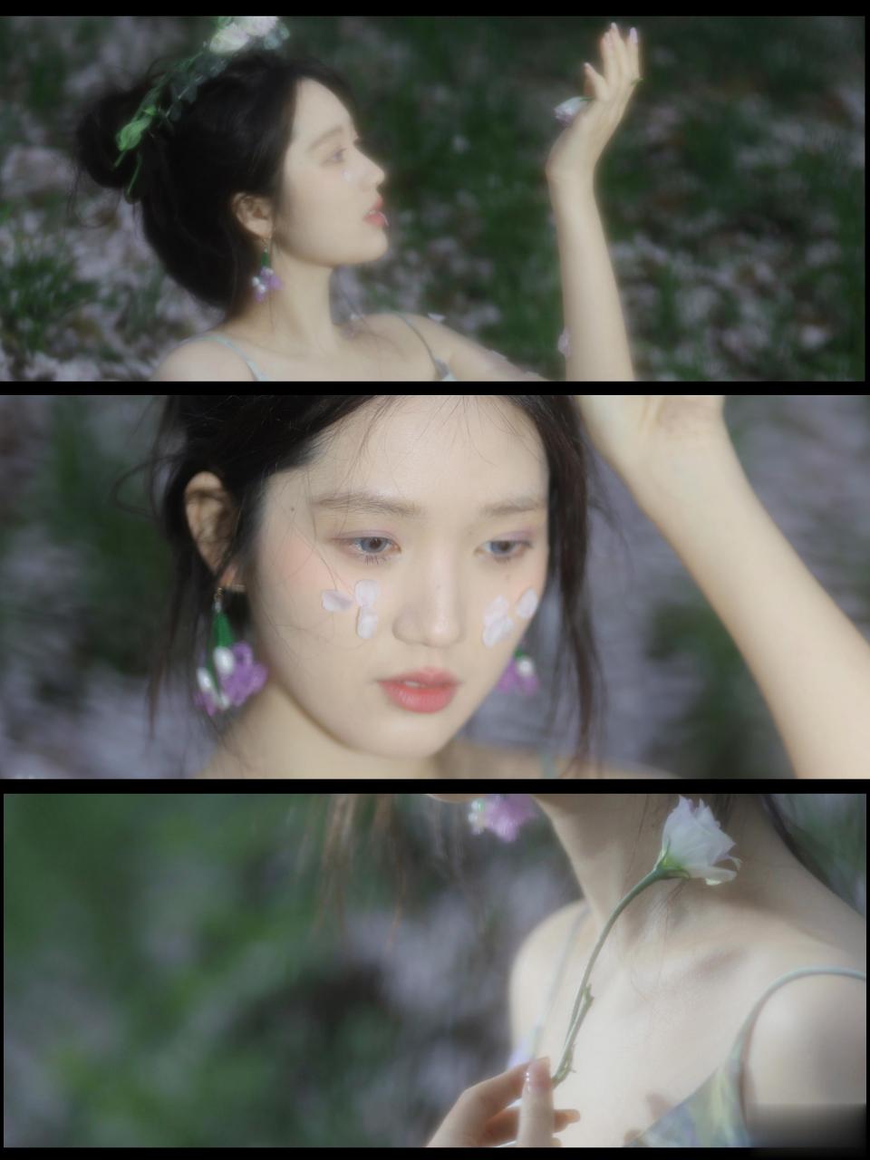 好喜欢紫绿配色摄影