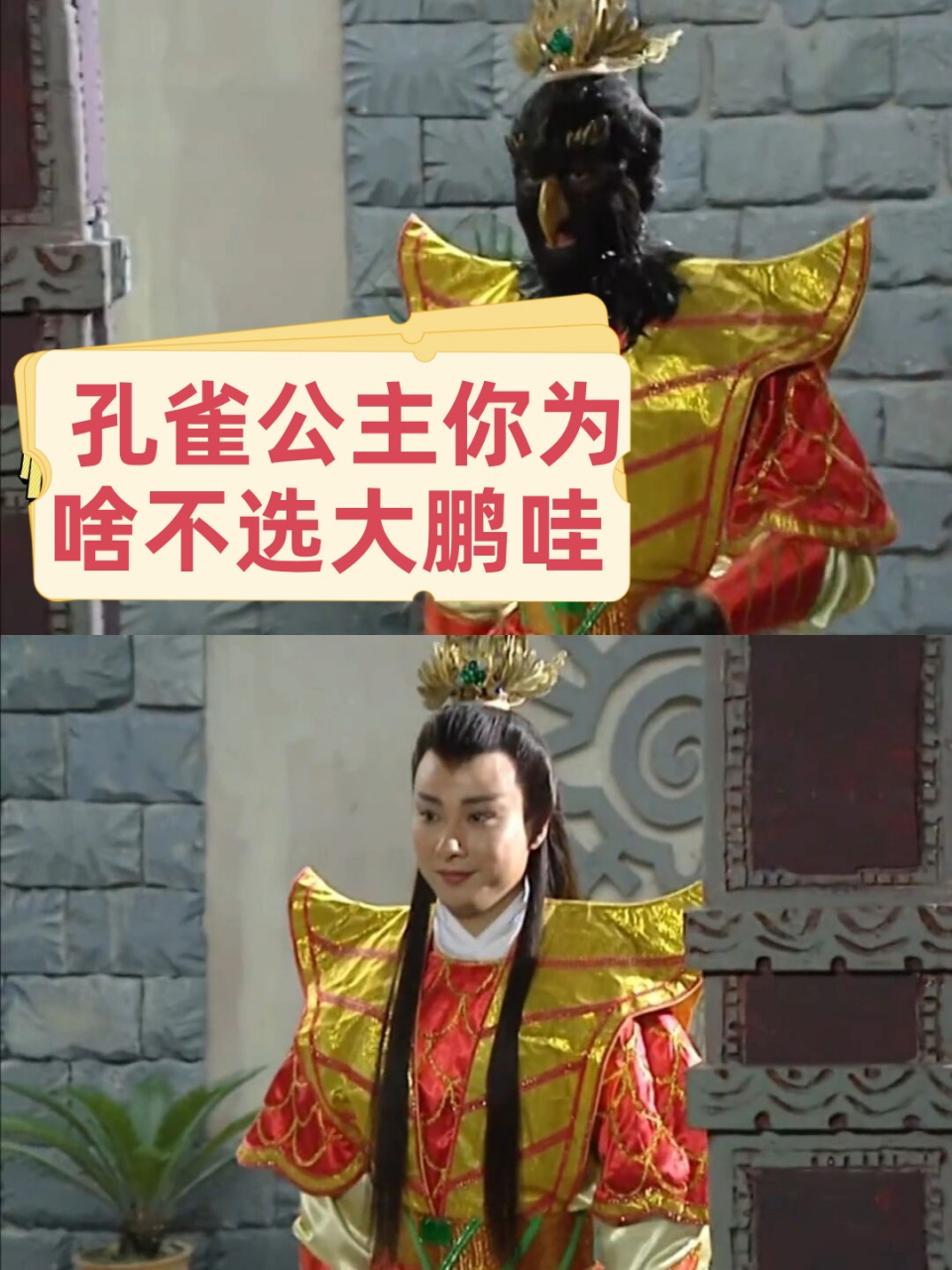 孔雀公主你为啥不选大鹏哇   大鹏真的把全部的温柔都给了孔雀公主