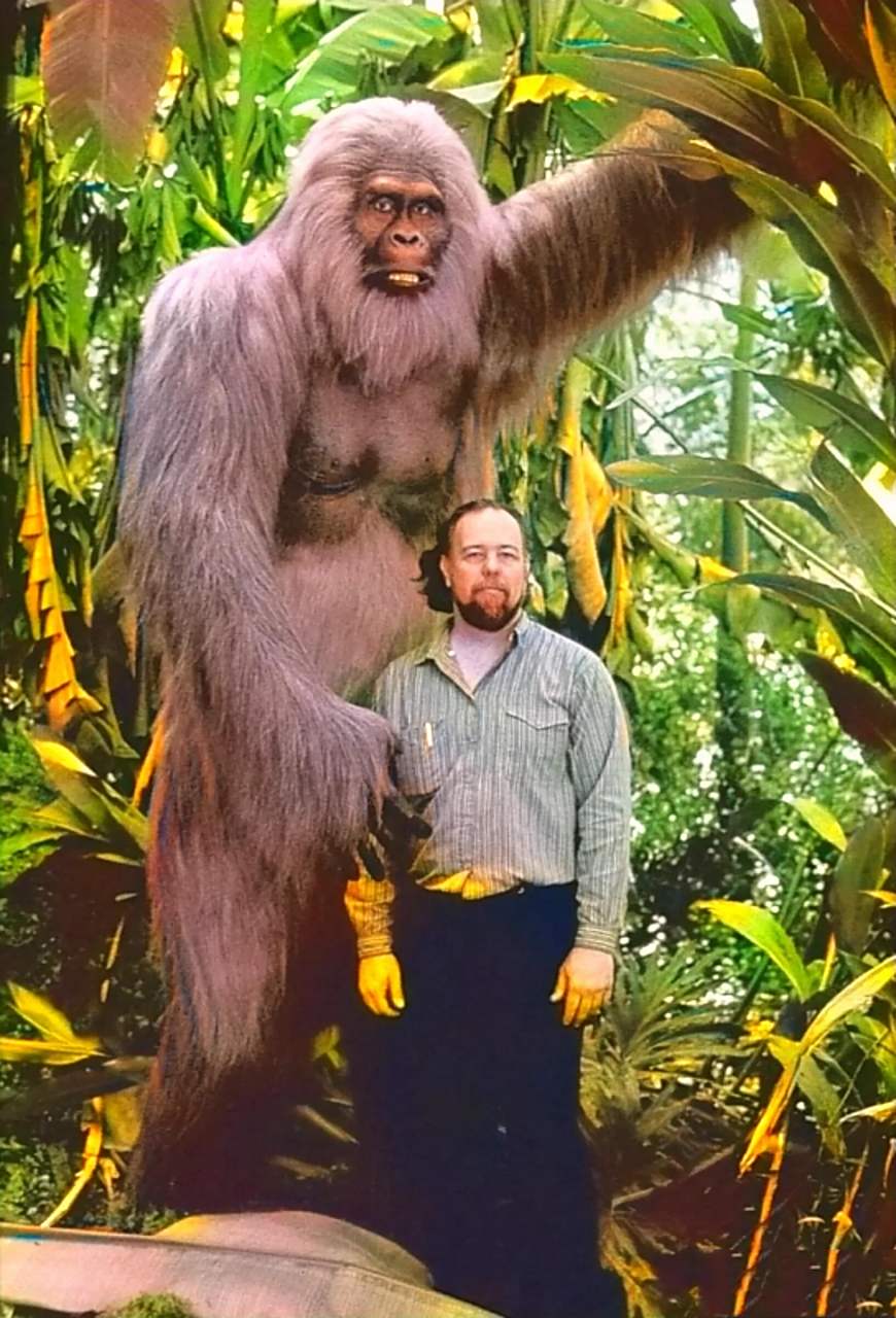 动物学家推测巨猿像现代人一样,可以用双腿直立行走